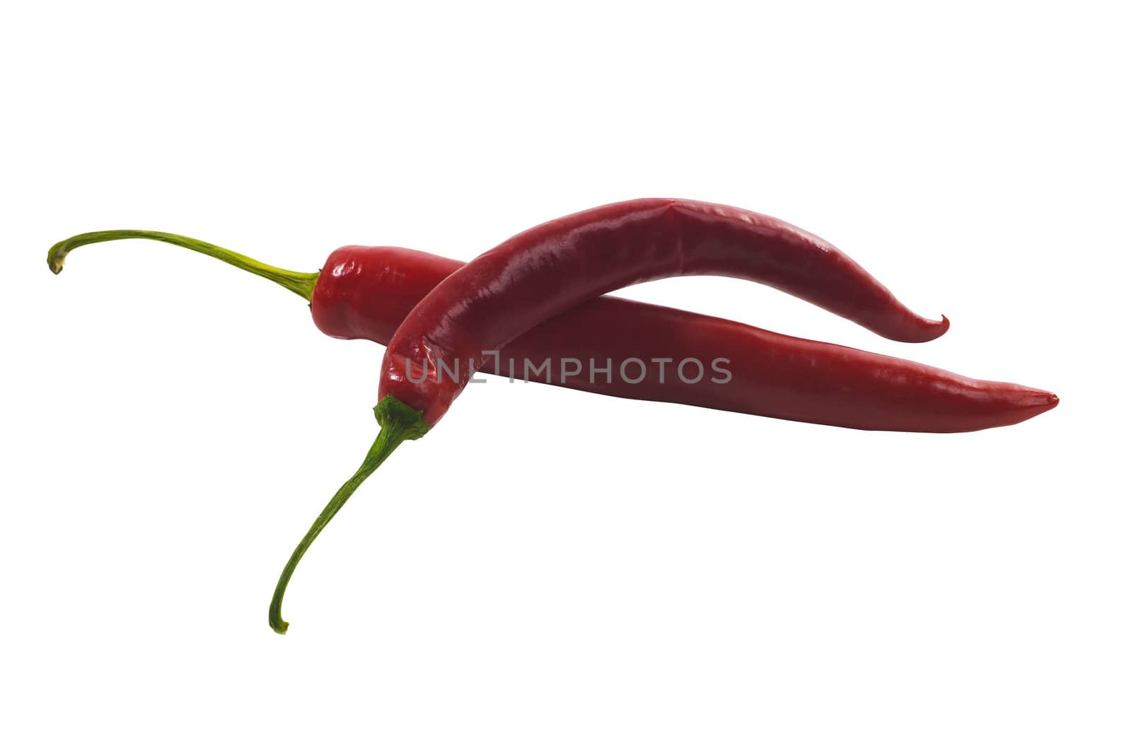 The hot red pepper isolated on white background