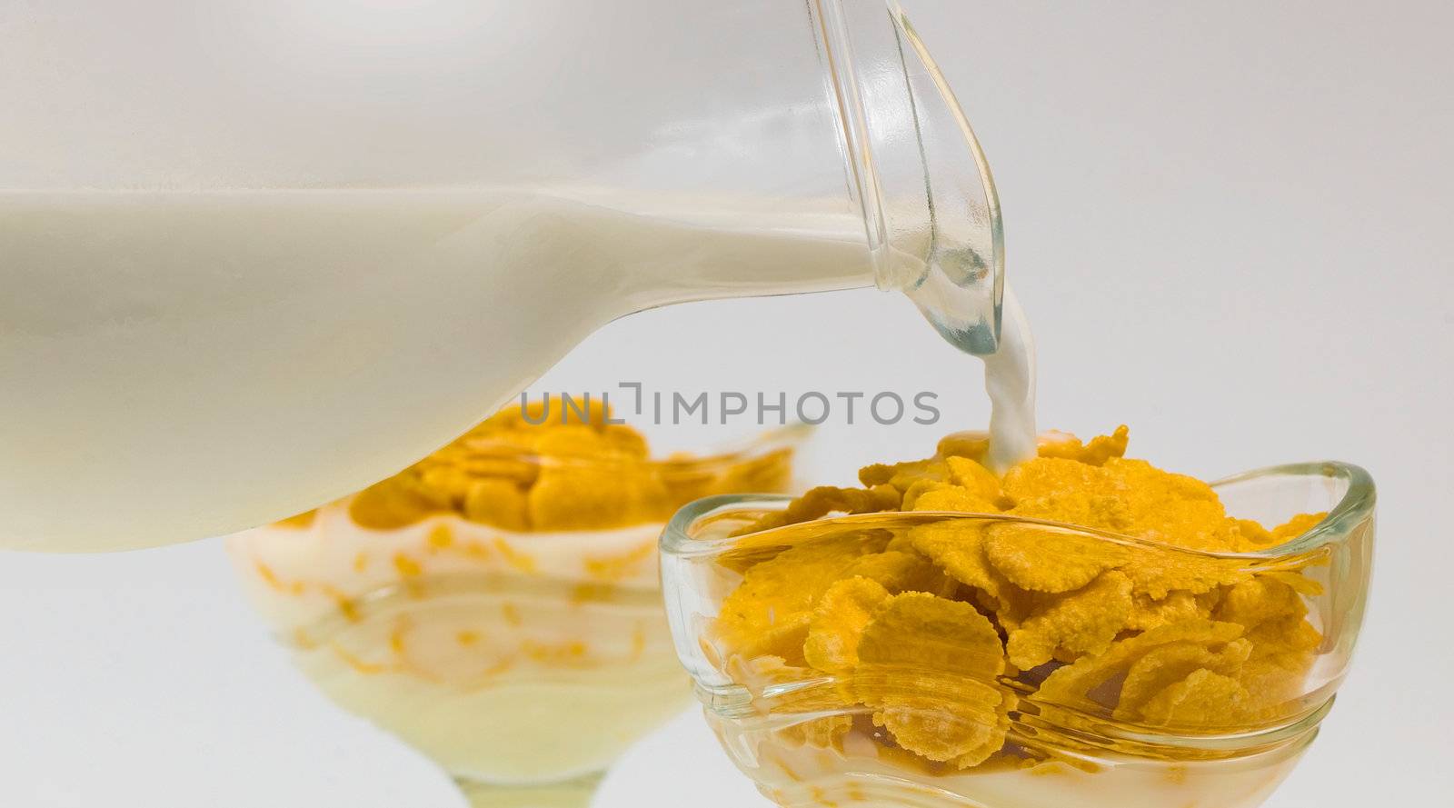 cornflakes and milk by oleg_zhukov