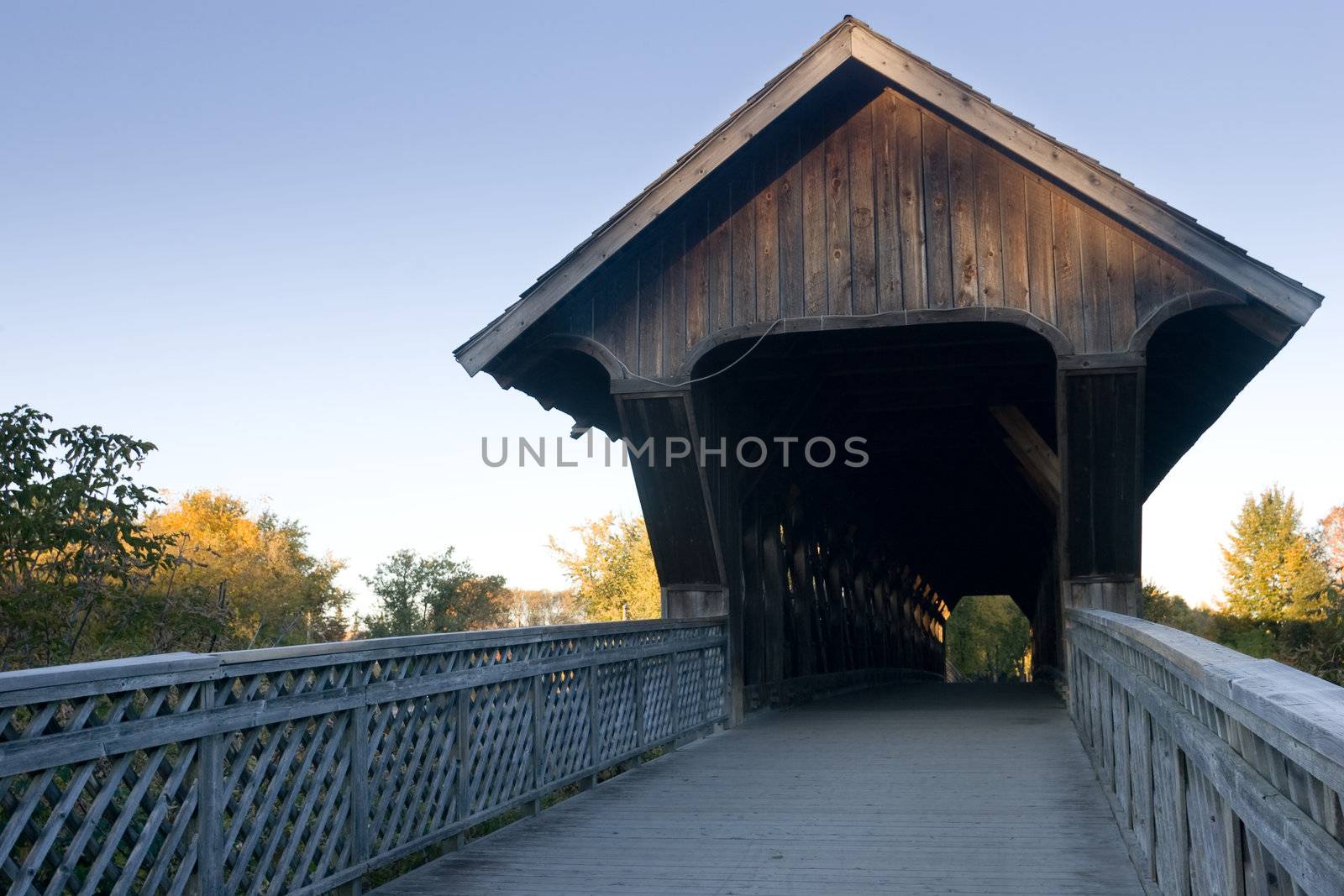 A view of the covered walking bridge, located in Guelph, Ontario, Canada, withe a blue sky background, and surrounding fall colours.