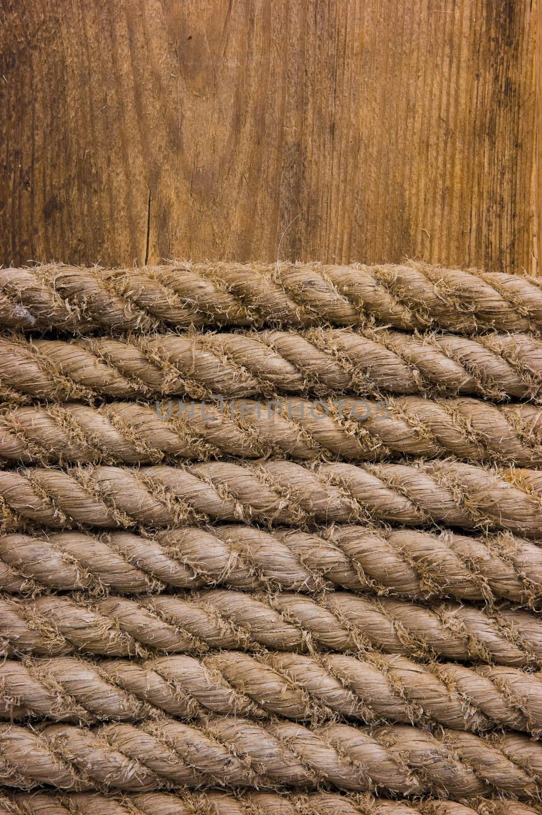texture of the ropes against the board