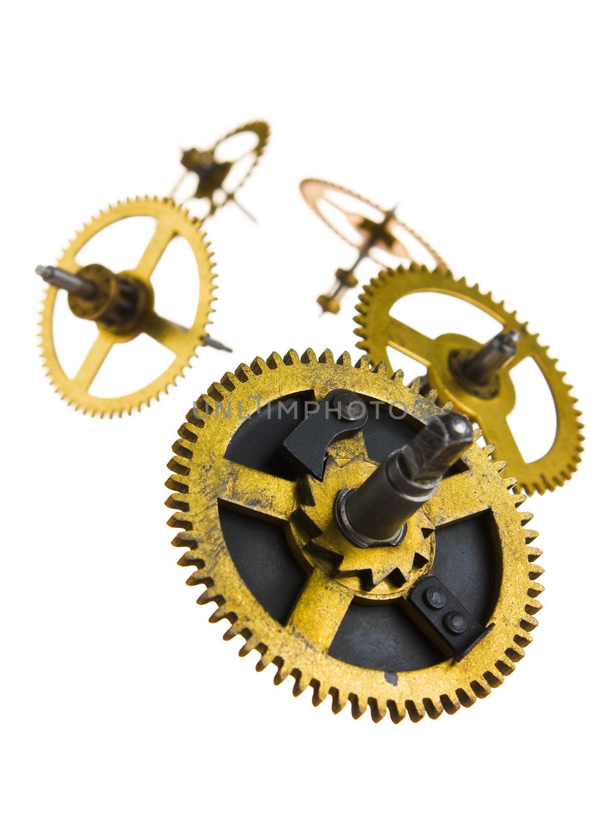 Gear of the clock isolated on white background
