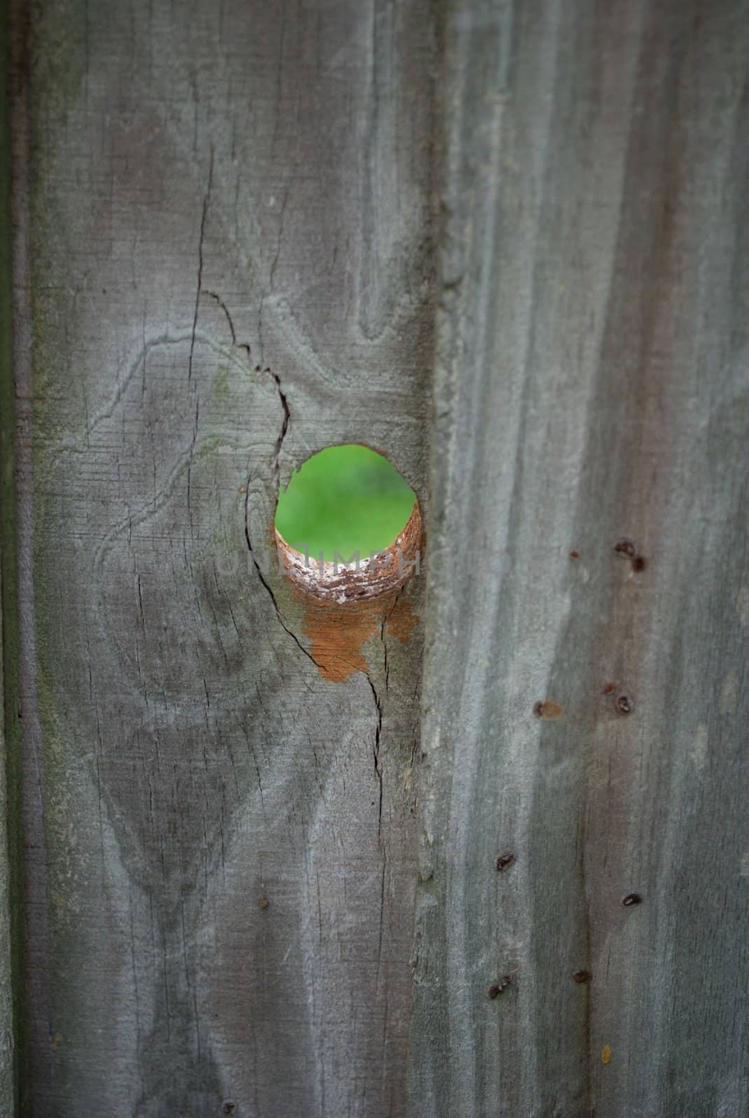 hole in the fence no peeking
