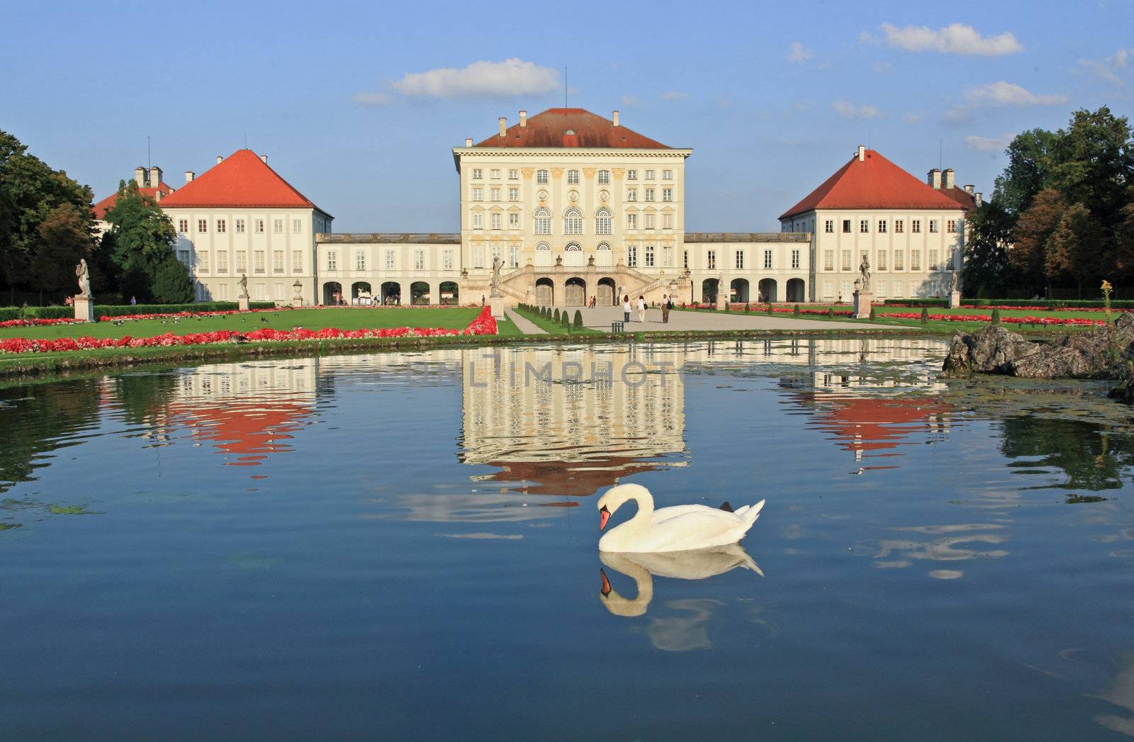 Swan at the Nymphenburg palace  by gary718