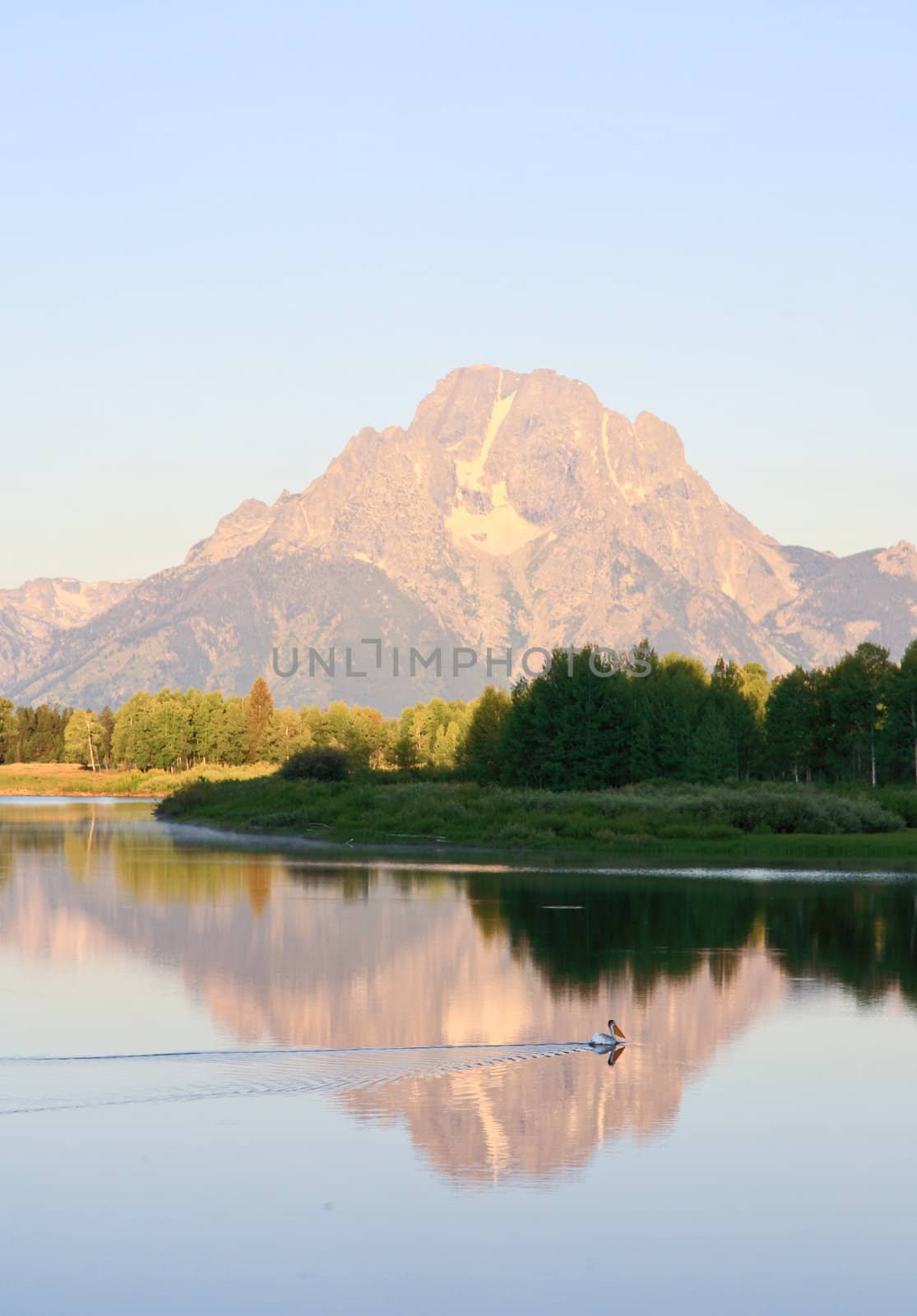 The Oxbow Bend Turnout Area in Grand Teton National Park in the morning light