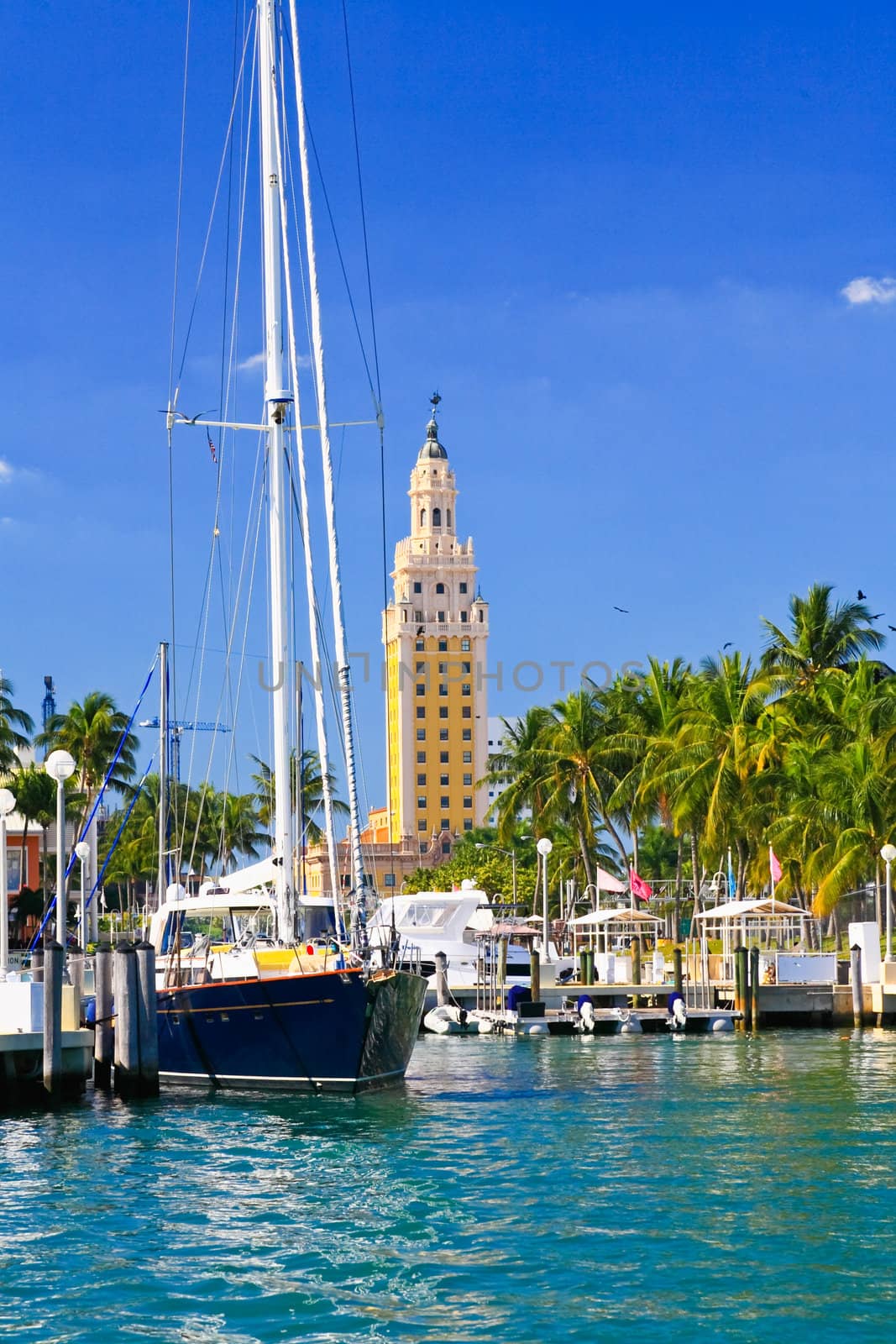 The high-rise buildings in downtown Miami Florida