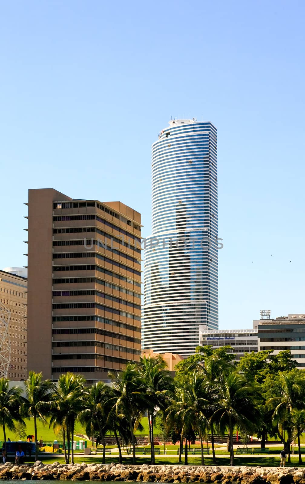 The high-rise buildings in downtown Miami Florida