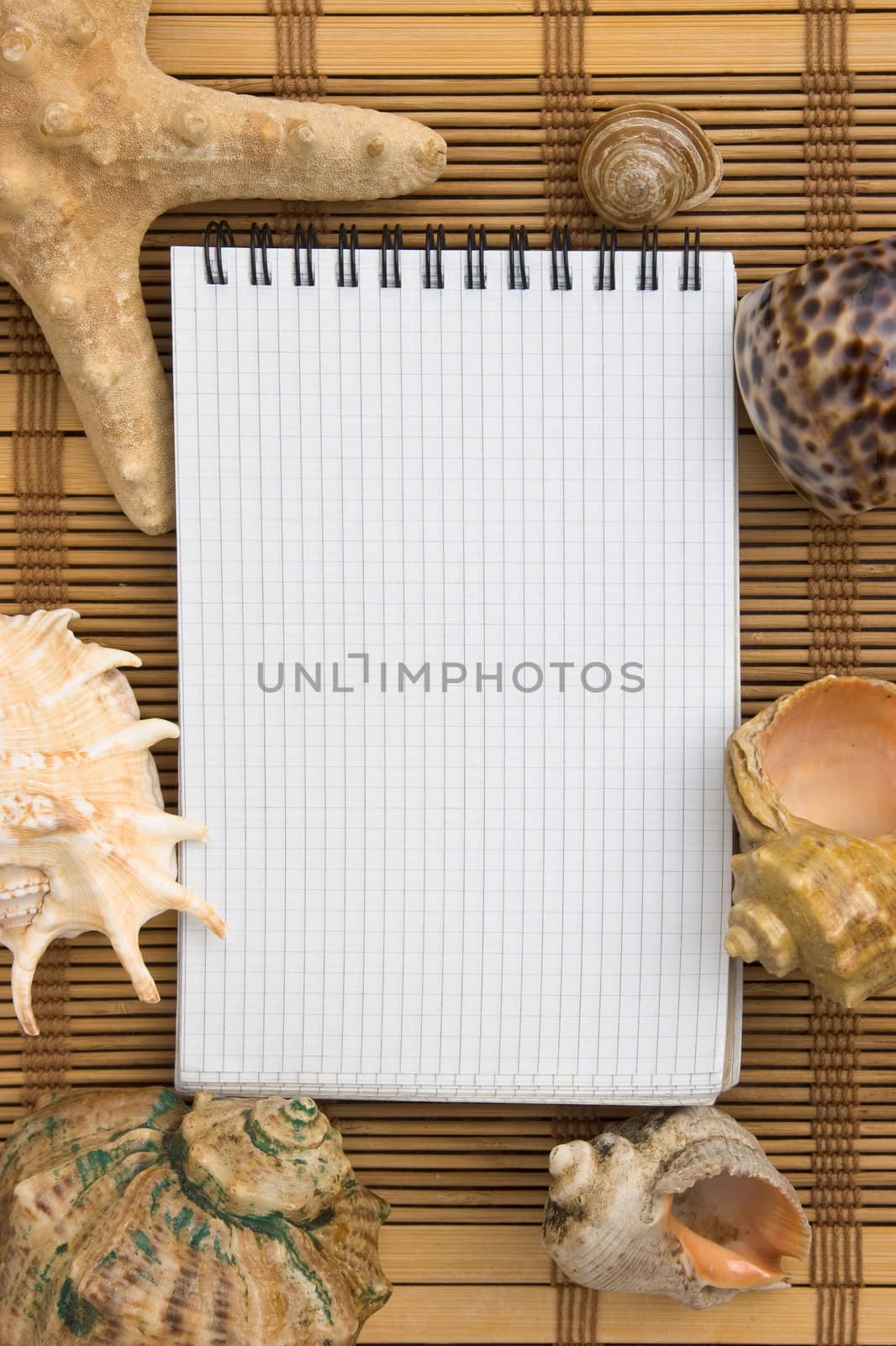 Frame of seashells on a background mat