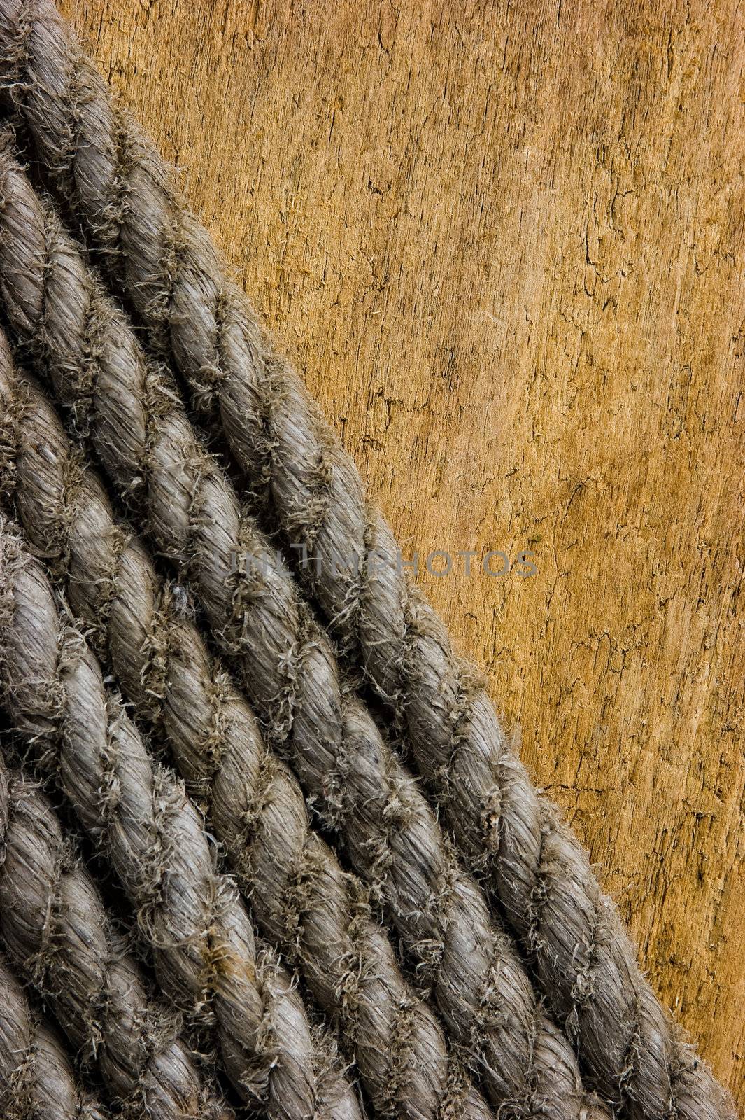 texture of the ropes against the board