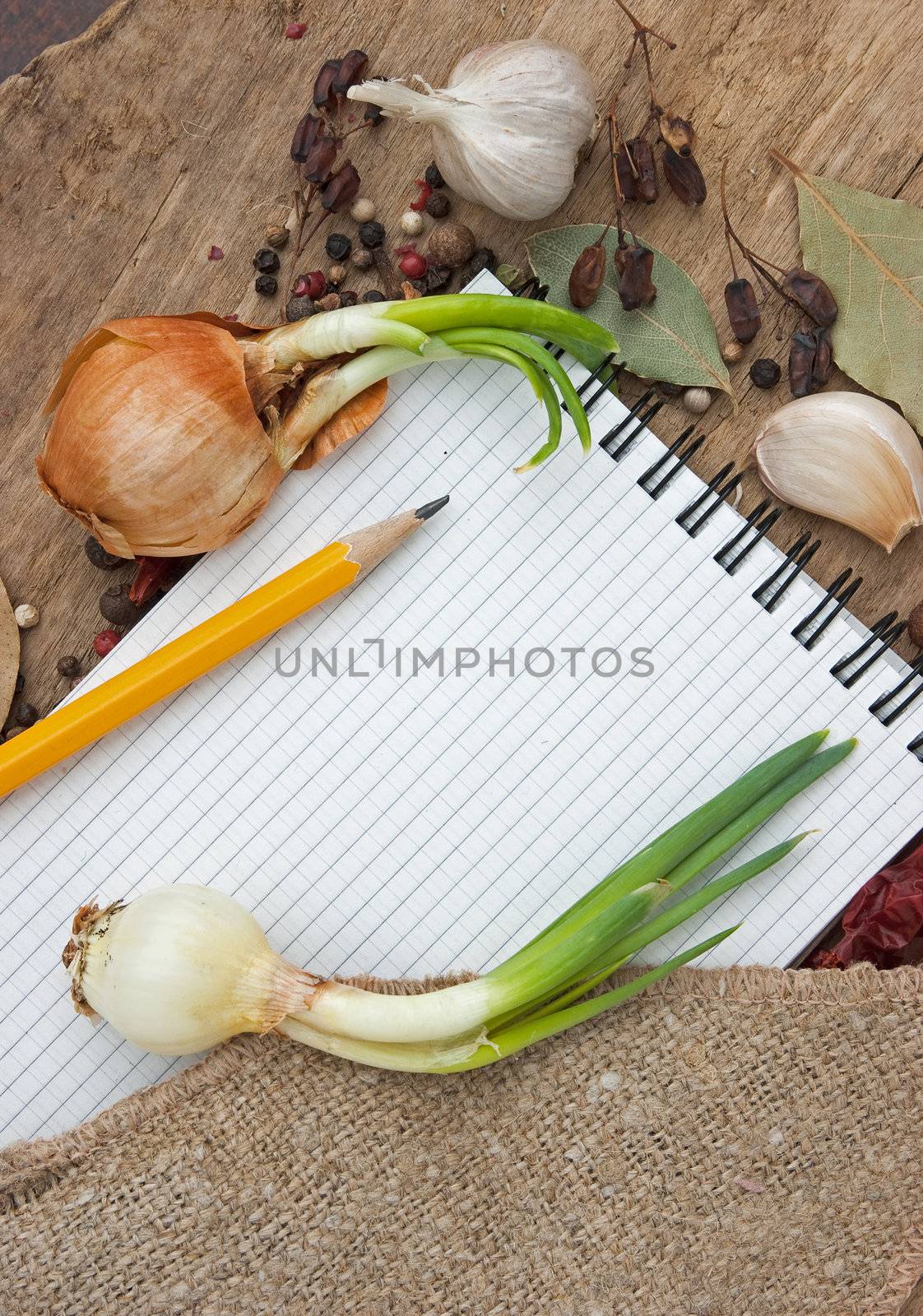 notebook for recipes on the background of spices by oleg_zhukov