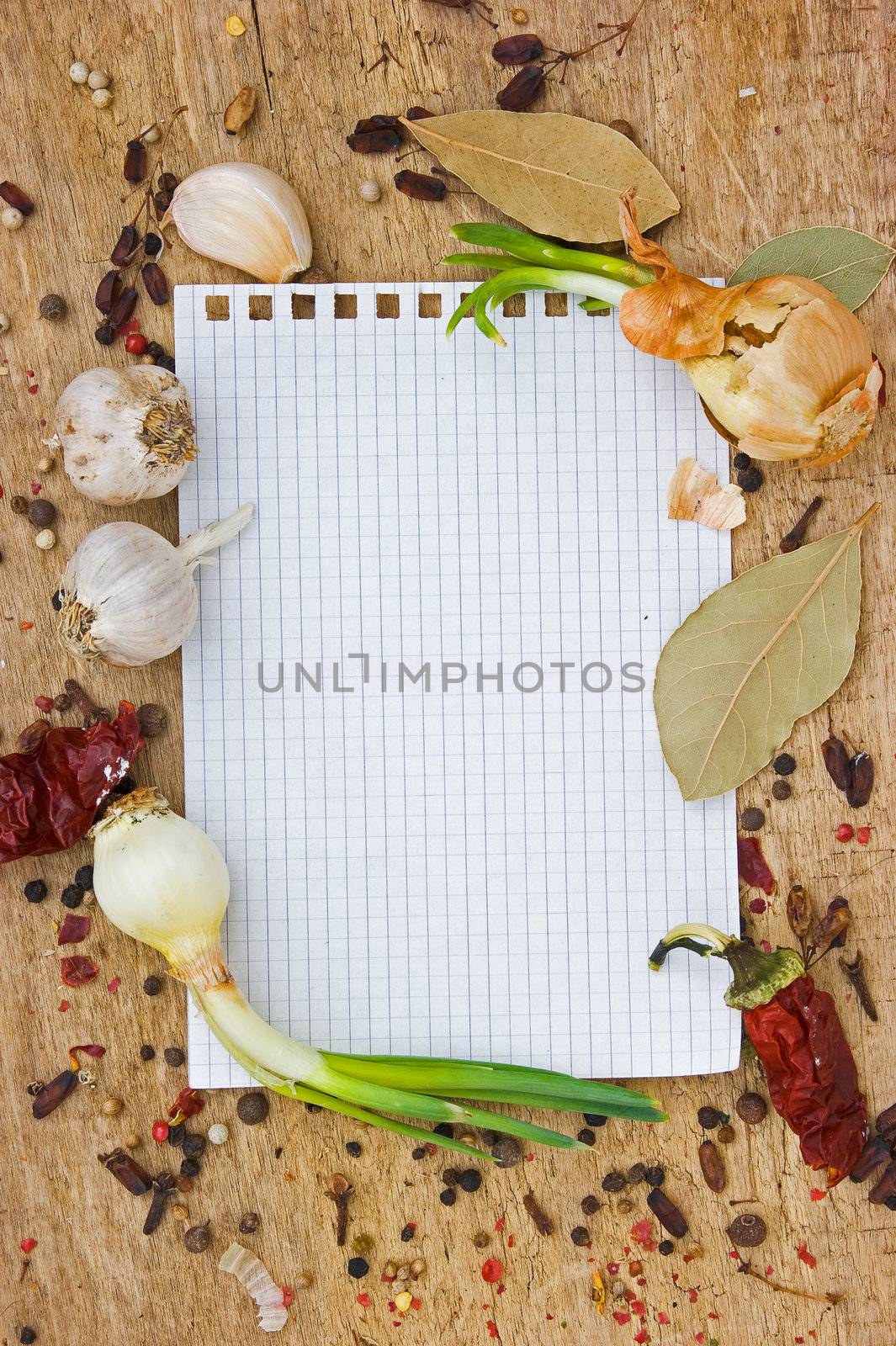 notebook to write recipes with spices by oleg_zhukov