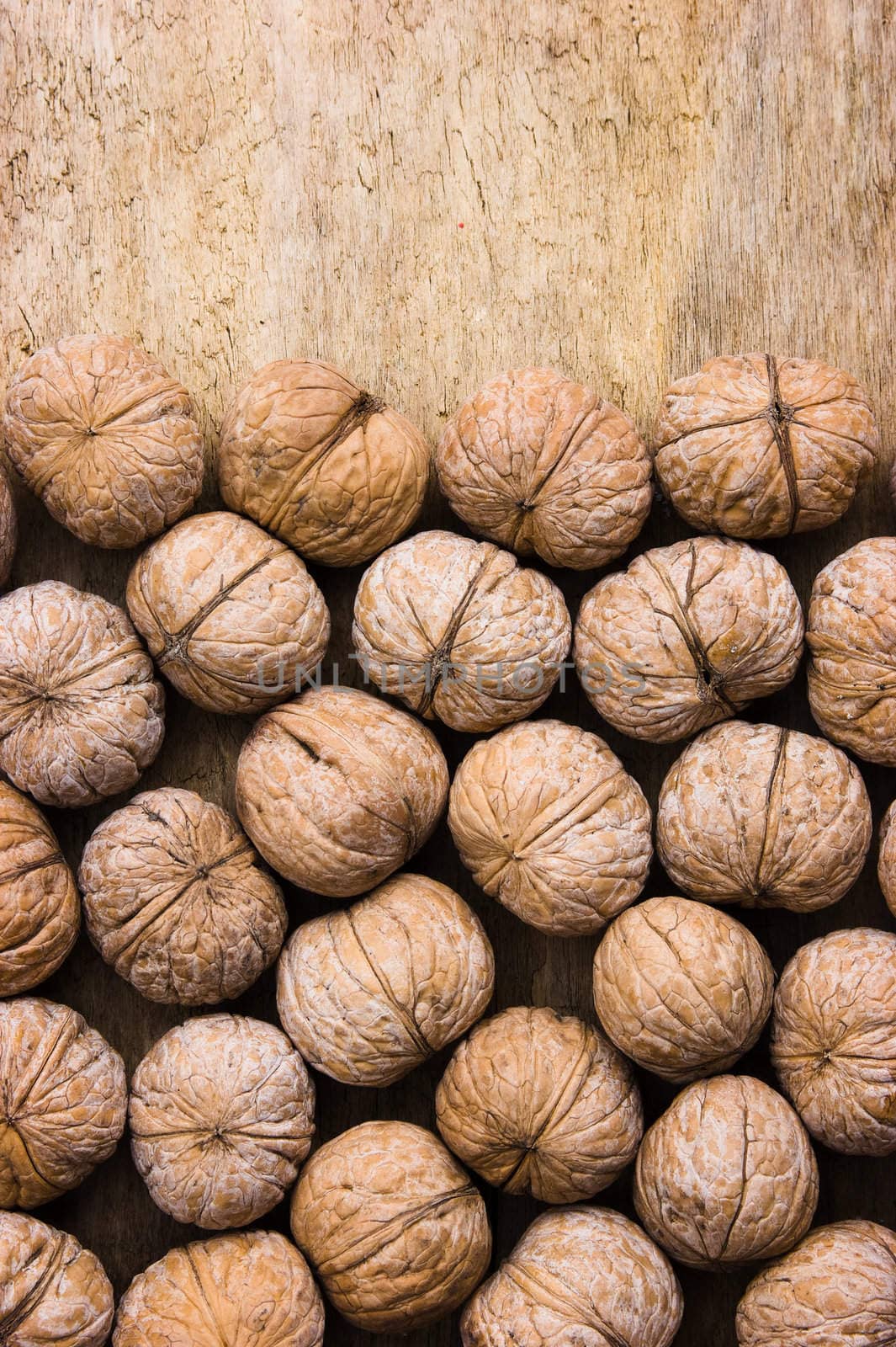 background of walnuts by oleg_zhukov