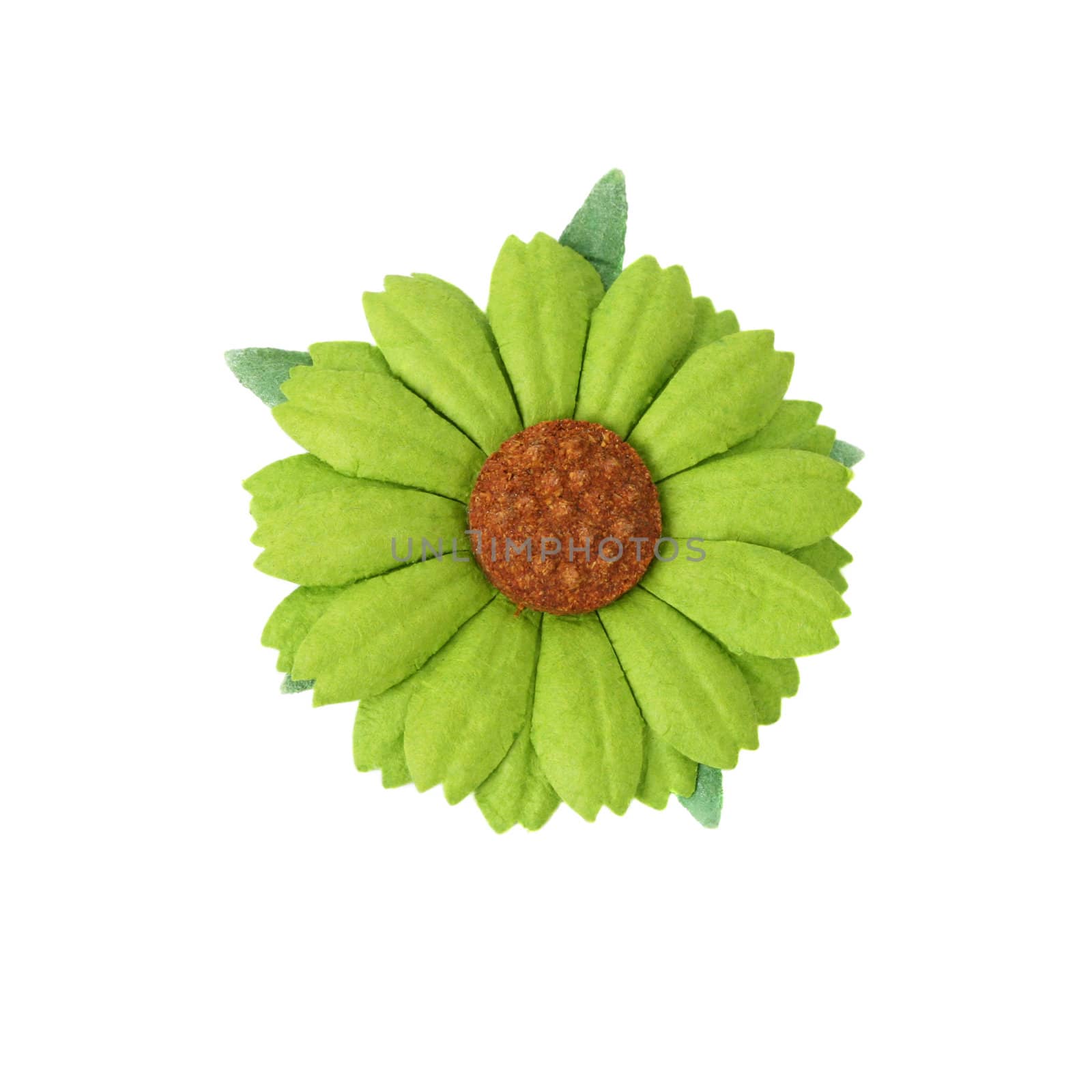 Artificial green flower isolated on a white background
