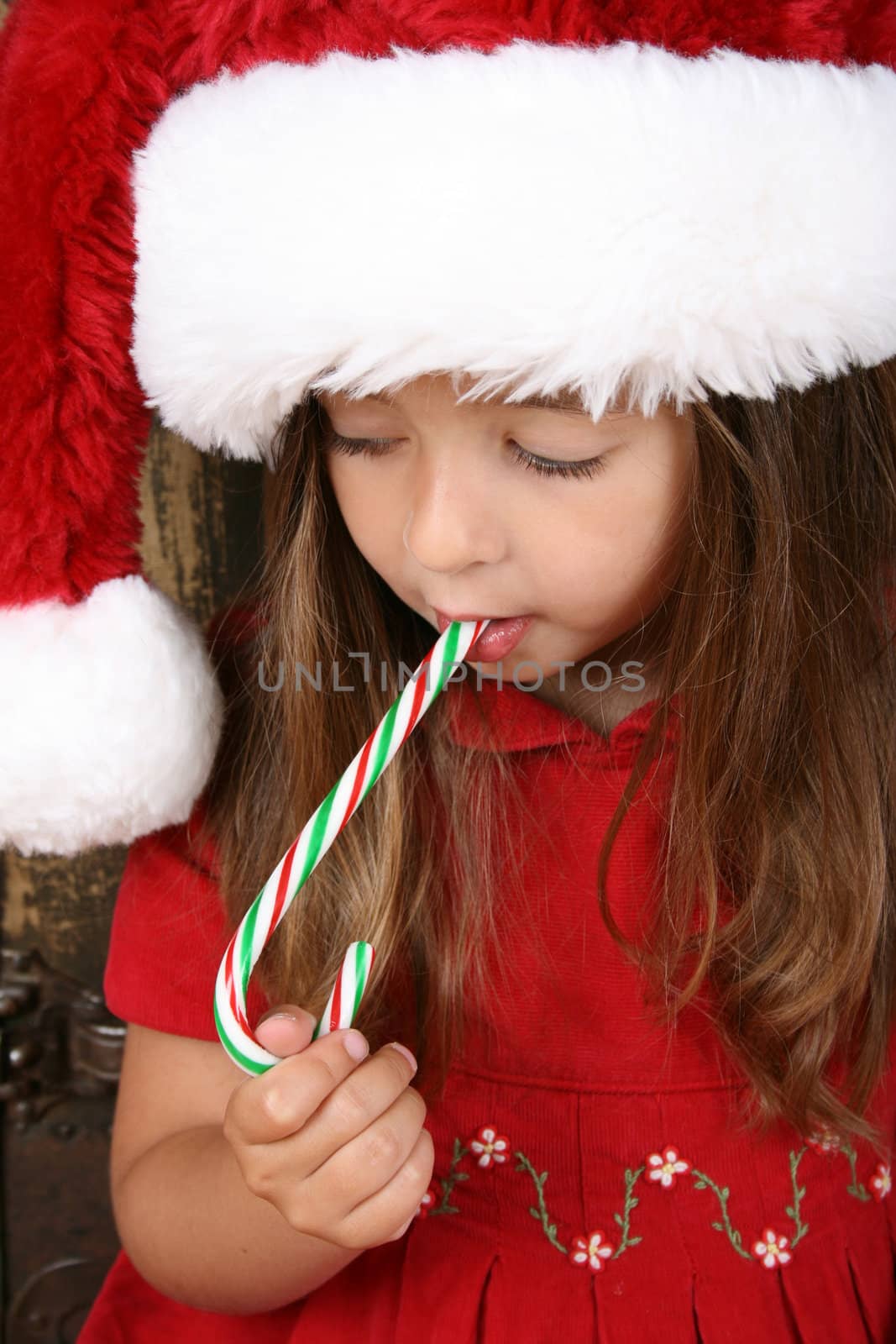 Beautiful brunette christmas girl eating a candy cane