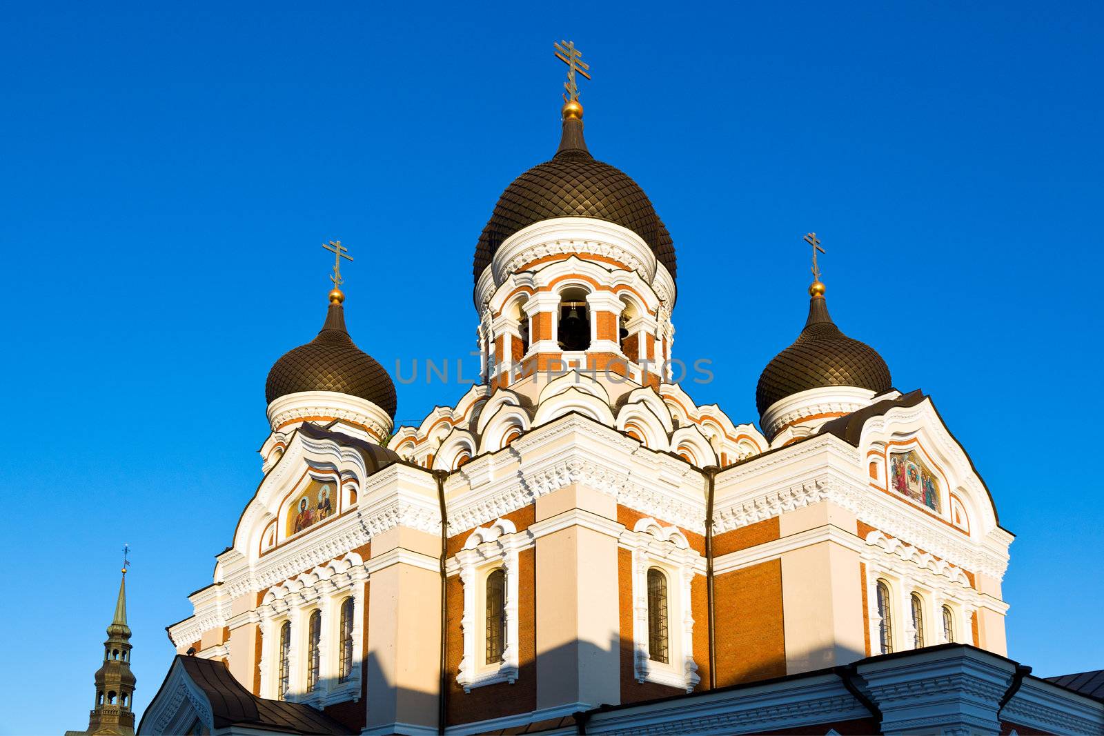 Alexander Nevsky Cathedral in Tallinn by steheap