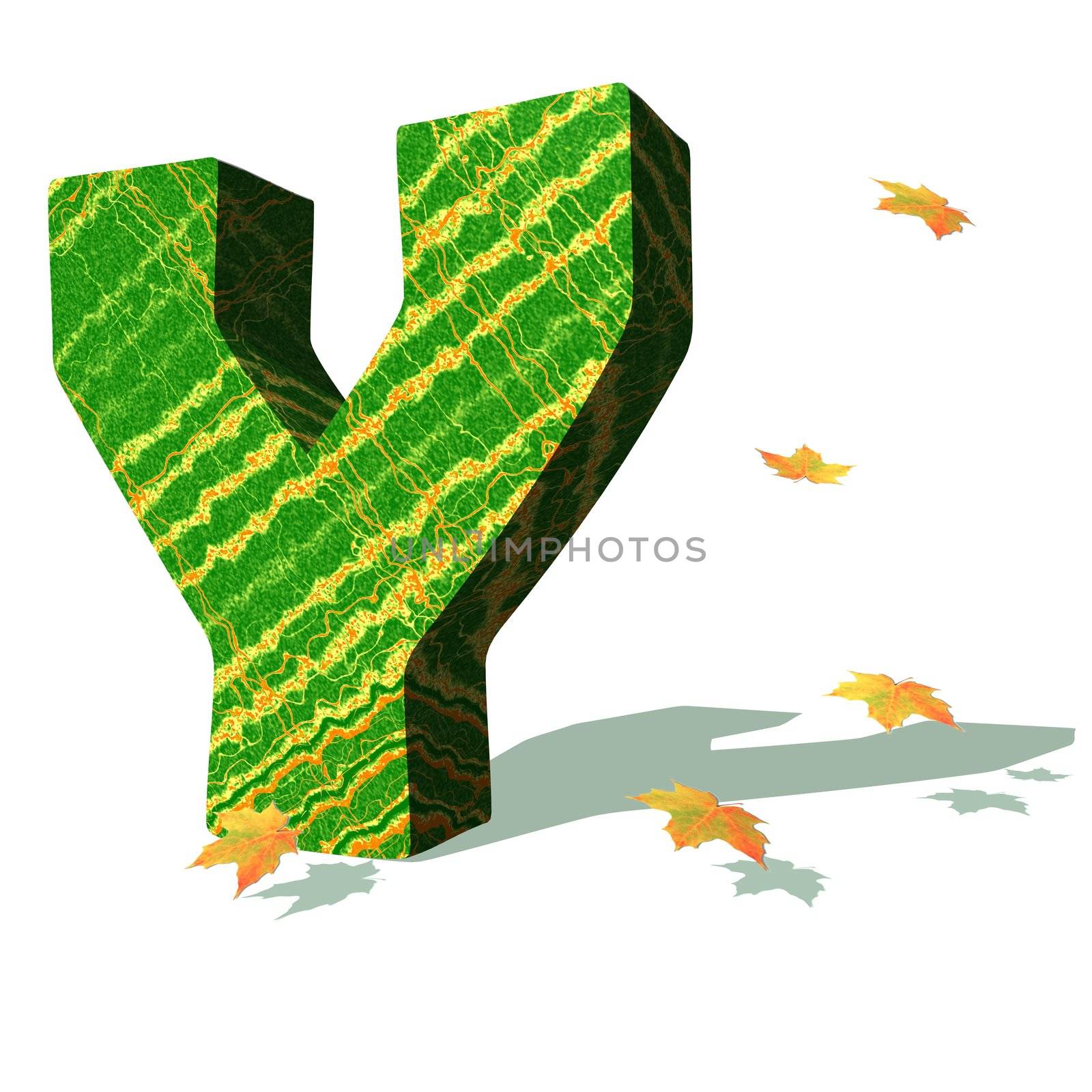 Green ecological Y capital letter surrounded by few autumn falling leaves in a white background with shadows