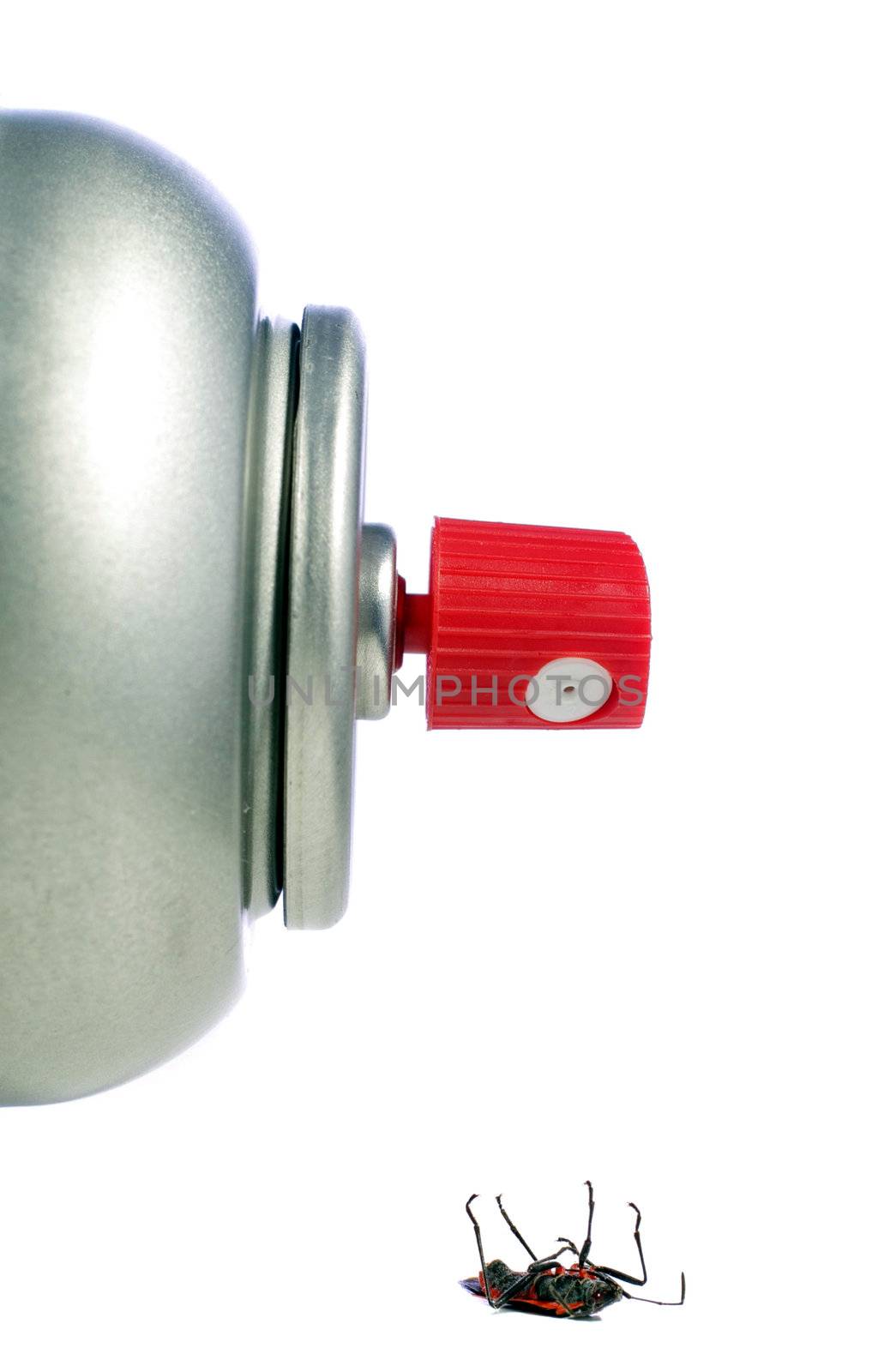 A dead bug and the spray can of insect killer