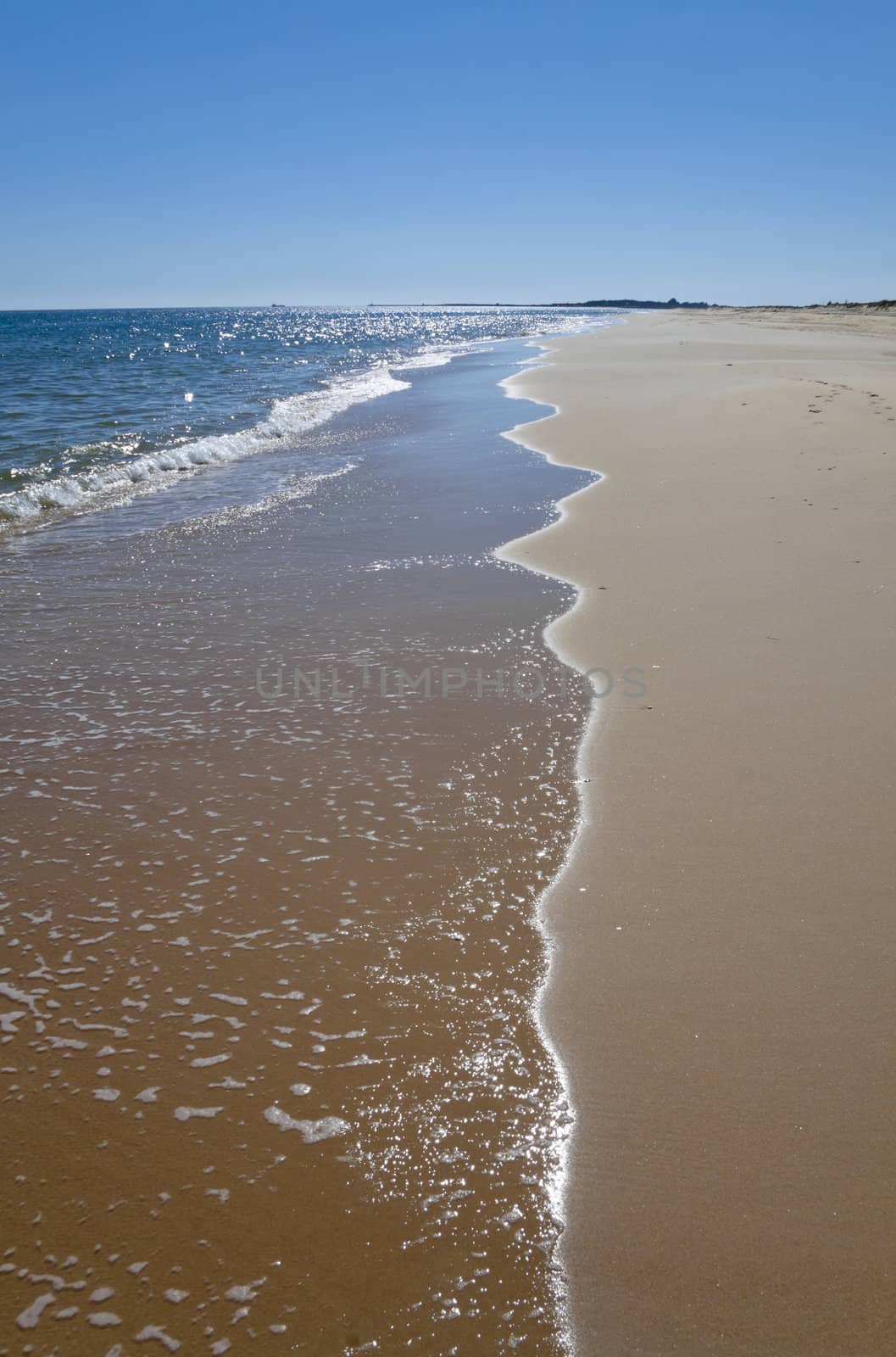 Wave on the beach in afternoon