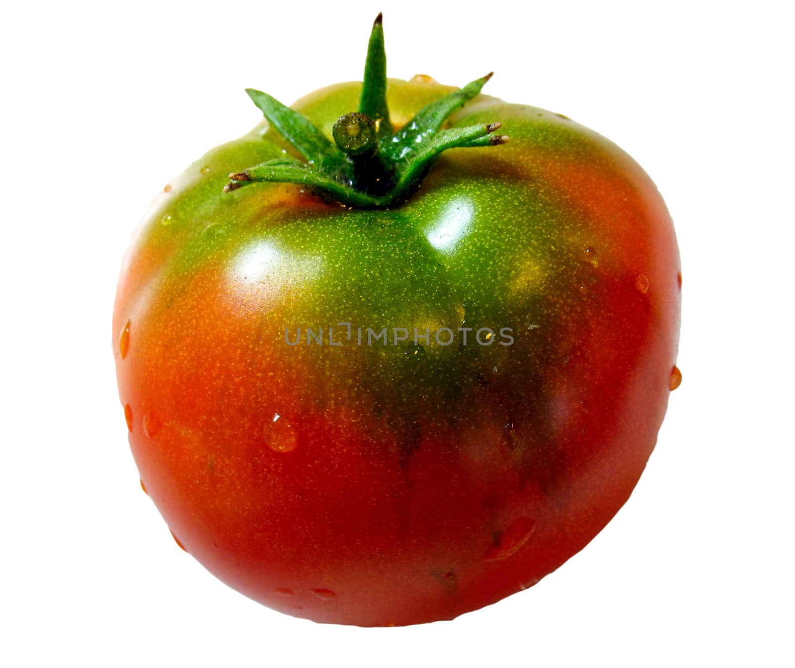 Fresh red tomato with drops of water by SergeAT