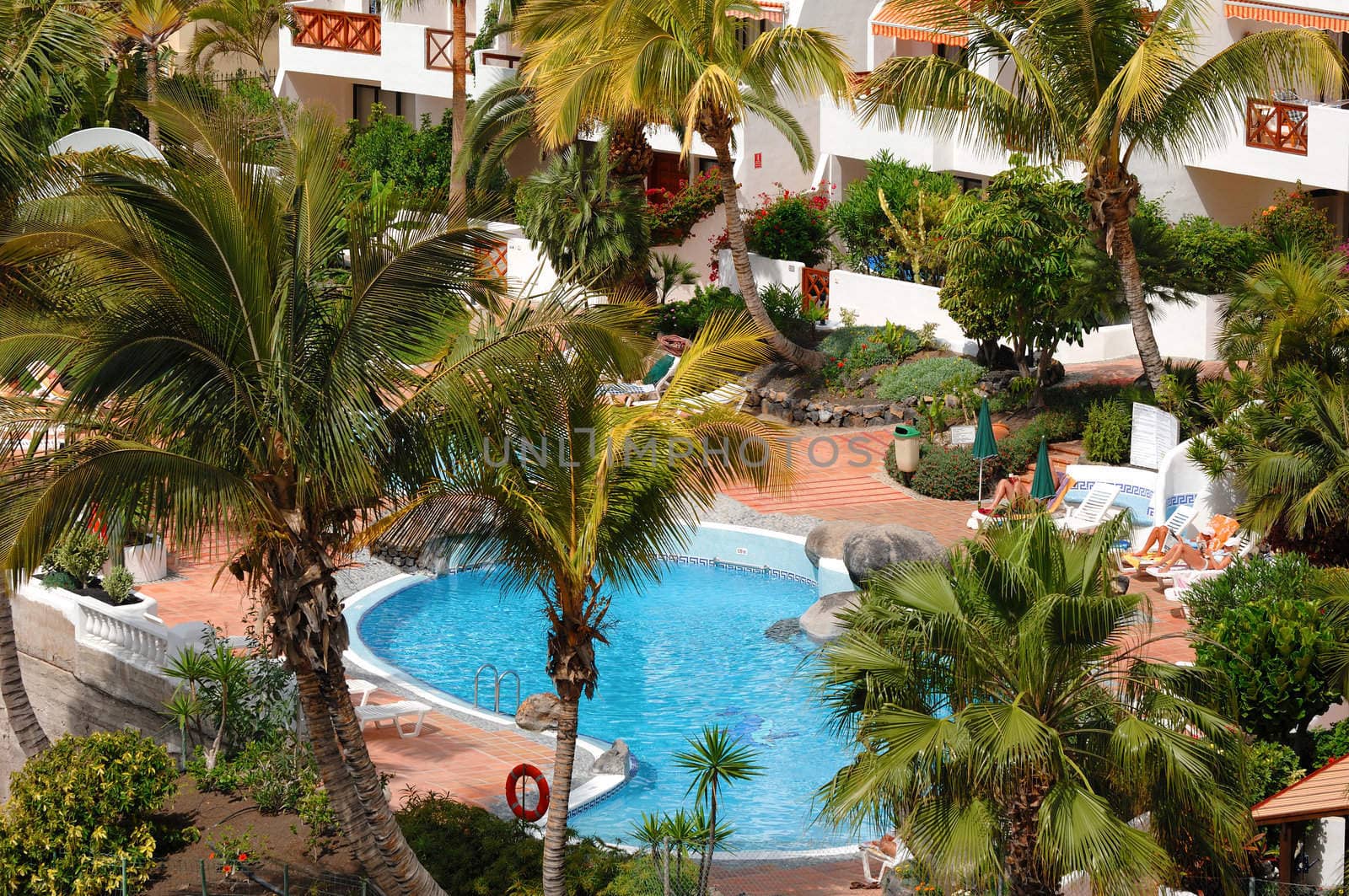 Luxury resort with very nice pool and palms