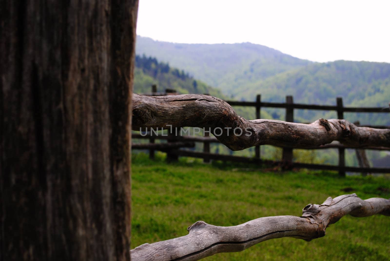 A wooden fence near Irati in the french Basque Country.