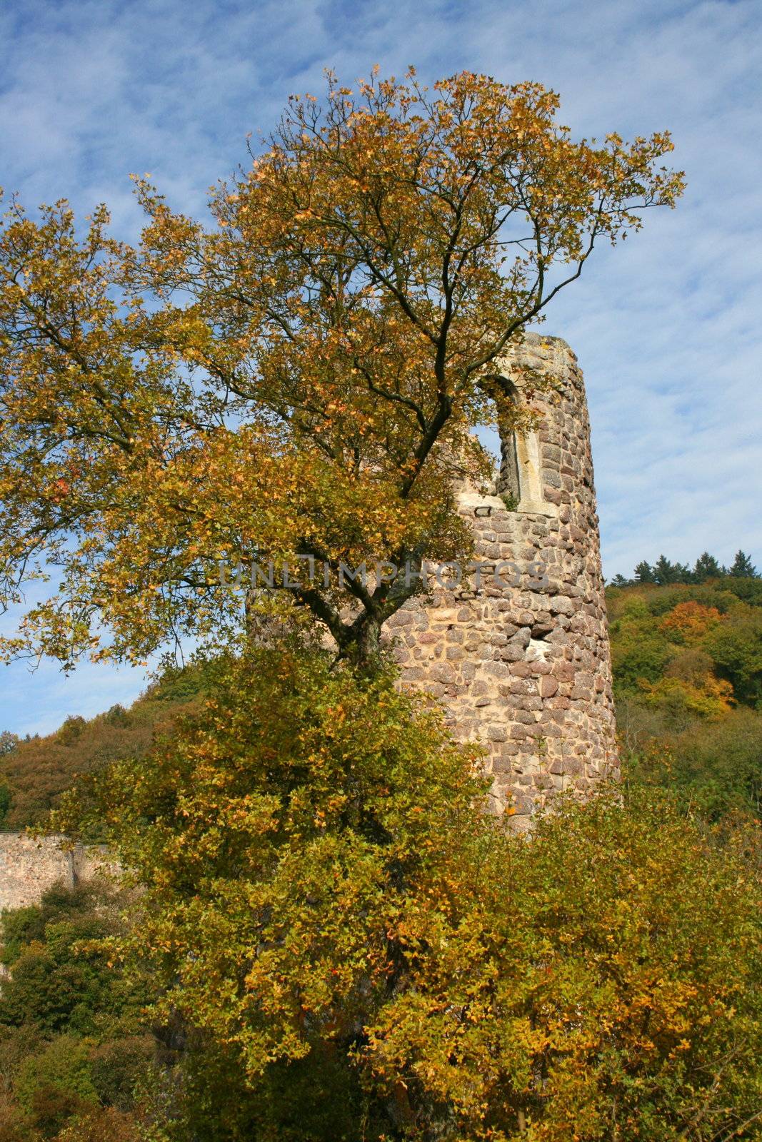 Ruine der Burg Bosselstein in Idar Oberstein,Deutschland	
Ruins of Castle Bosselstein in Idar Oberstein, Germany