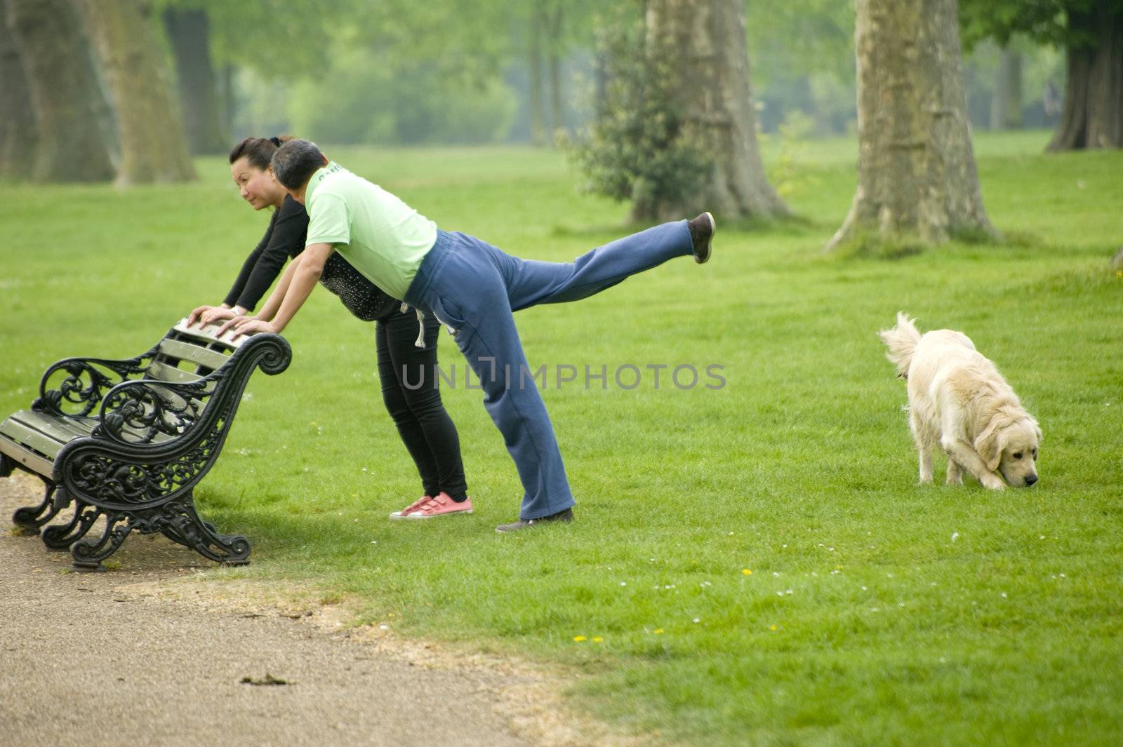 Morning exercices in the London Hyde park