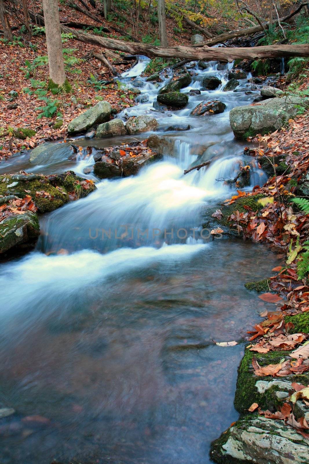 The Douglas Falls in Delaware Water Gap recreation area