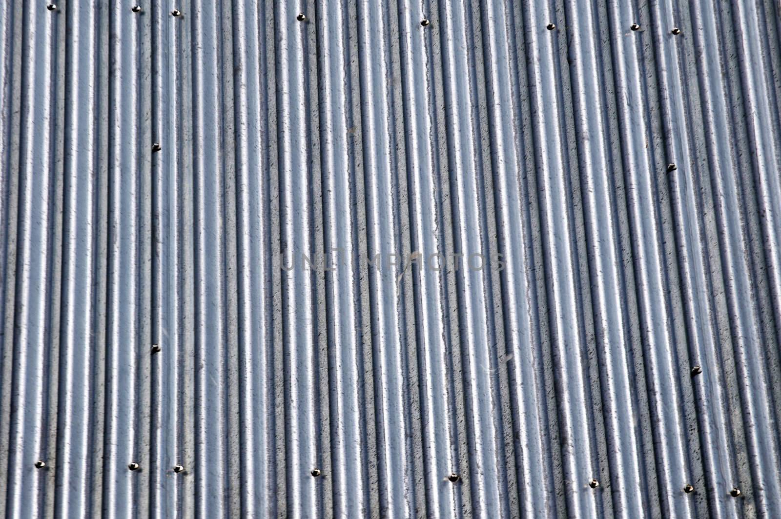 a tin roof abstract grungie background with screw heads