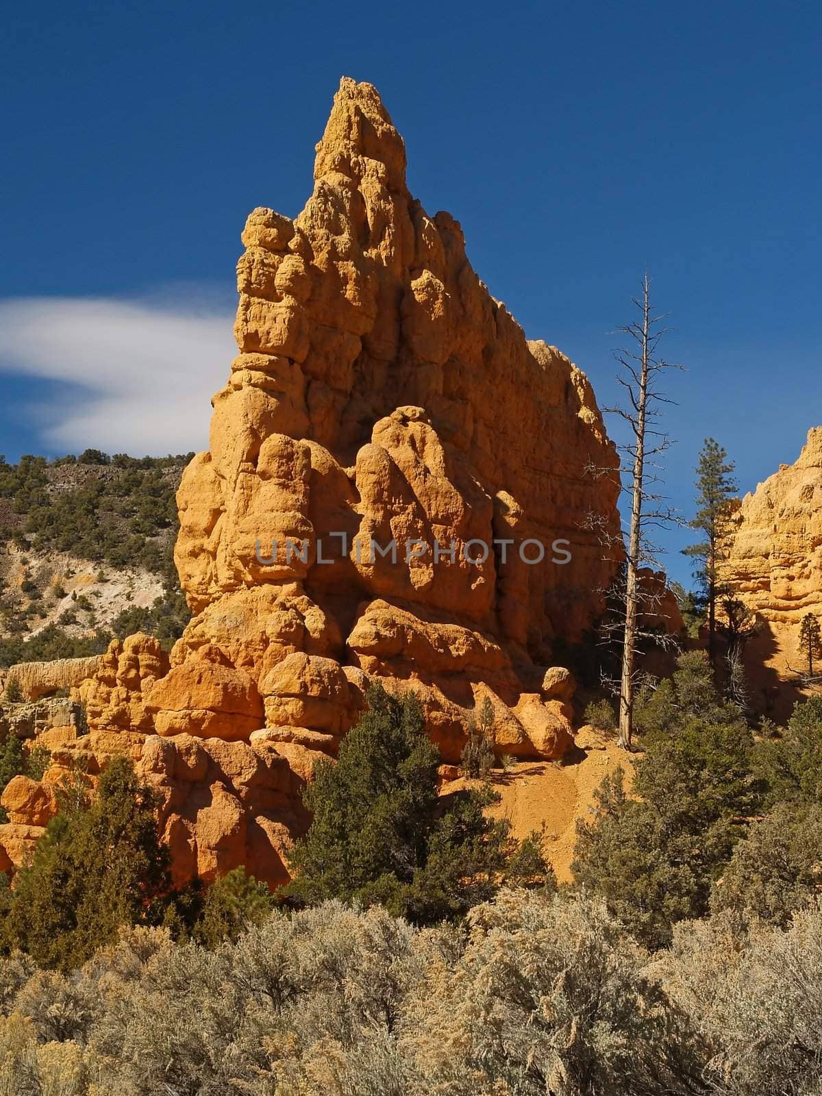 Sandstone formations in Red Canyon near Bryce Canyon 