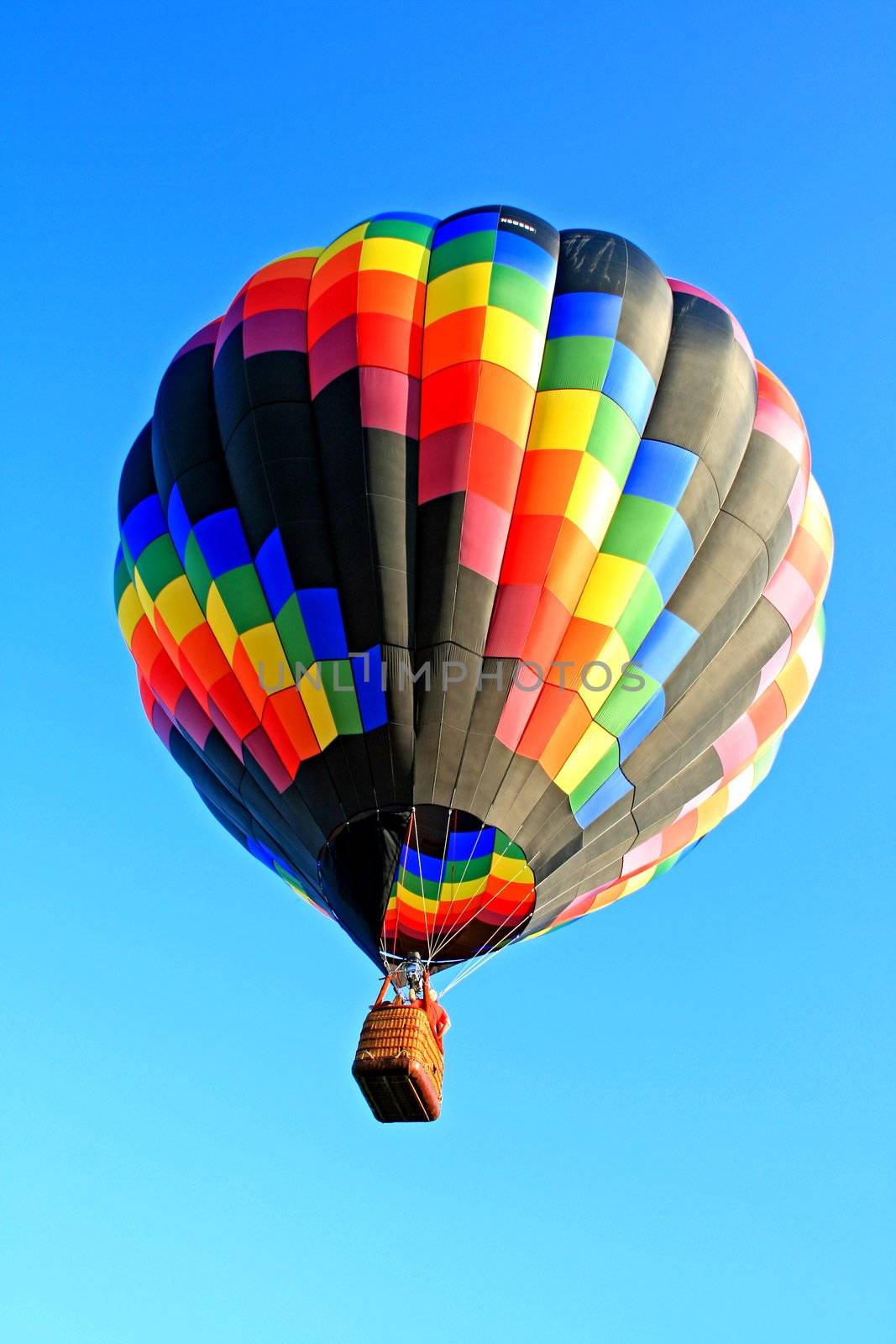 A balloon festival in New Jersey USA