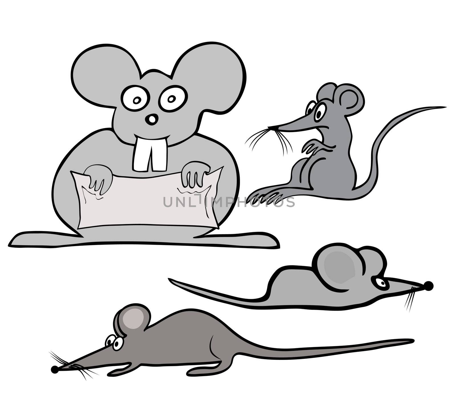 hand drawn - illustration of the various house mouses - baby mouses