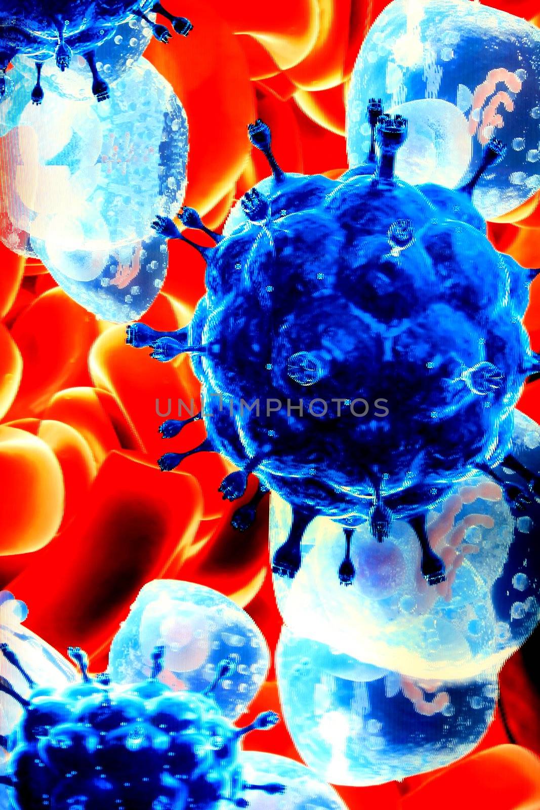 Close-up of red blood cells and germs