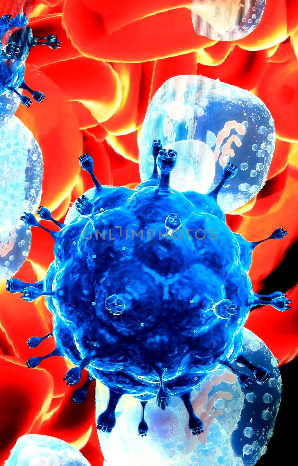 Close-up of red blood cells and germs