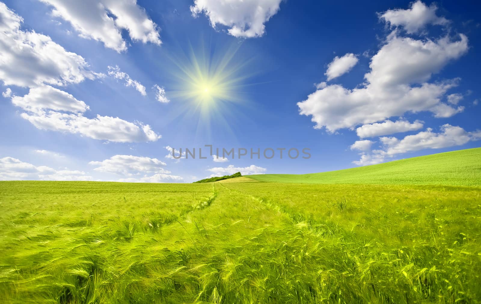 vibrant colors and sunlight effect for this countryside landscape
