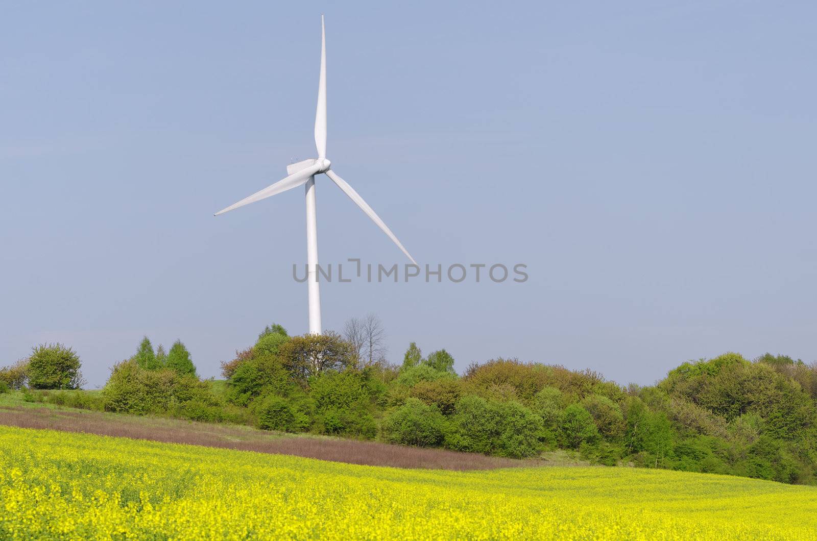 a wind turbine surrounded by the forest
