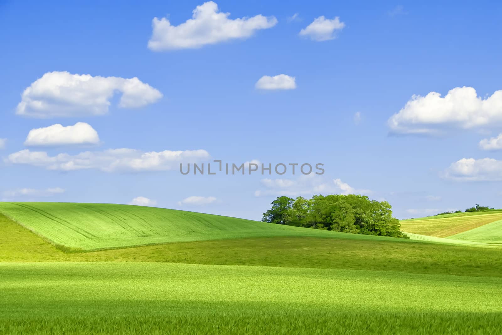 countryside by gufoto