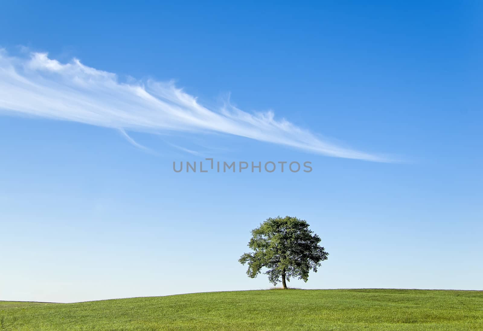 landscape by gufoto