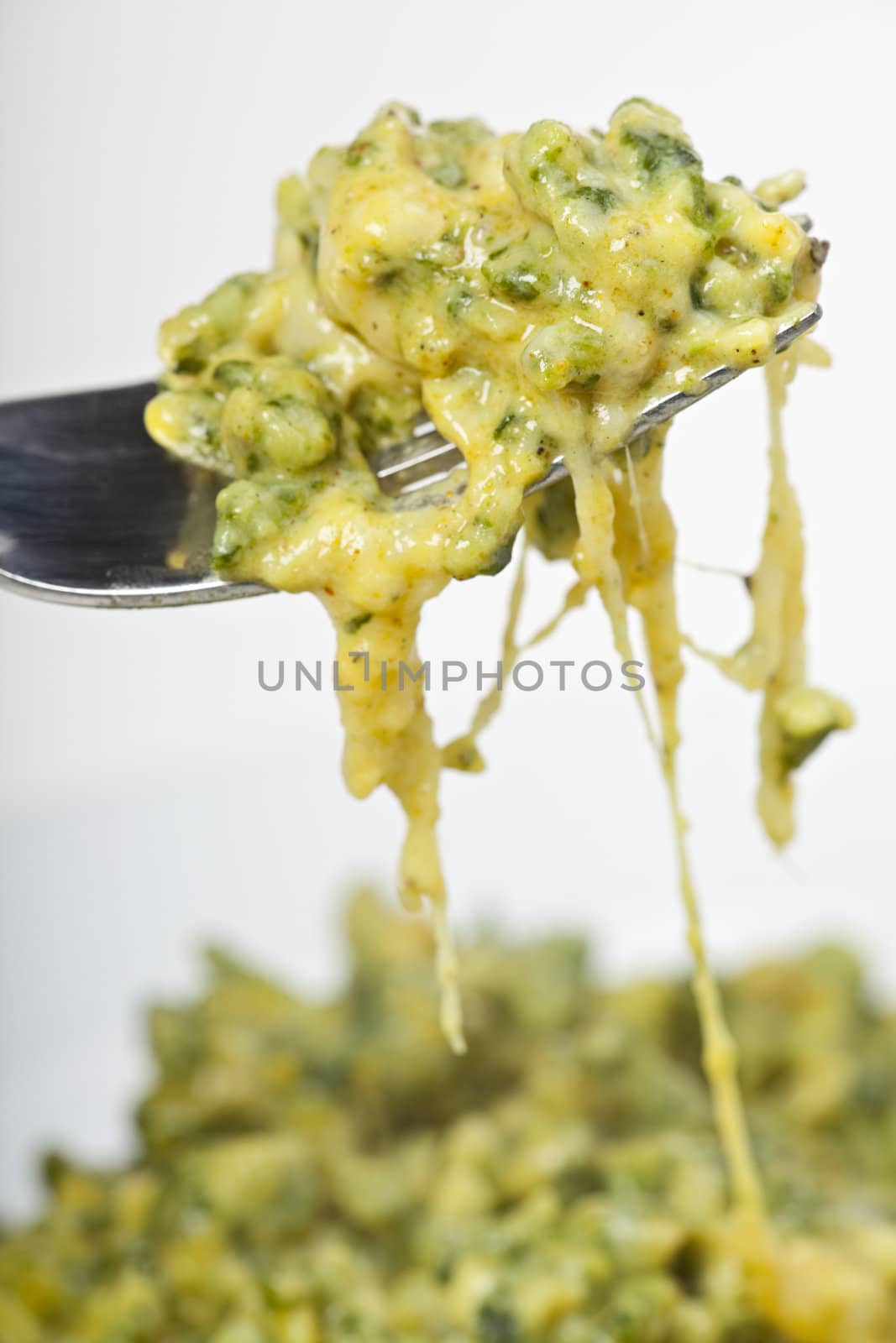 spaetzle, a bavarian kind of noodle