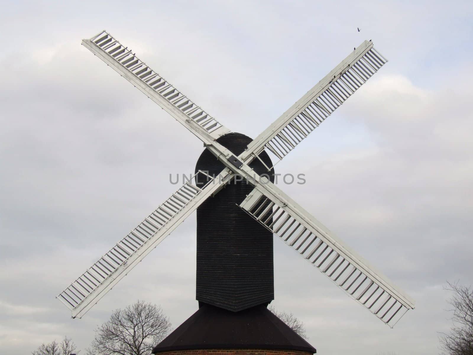 Windmill Front Shot by steveabcuk