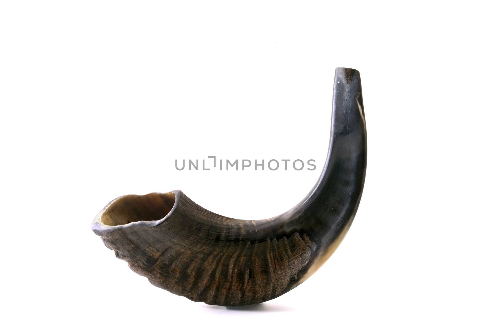 black shofar isolated on white