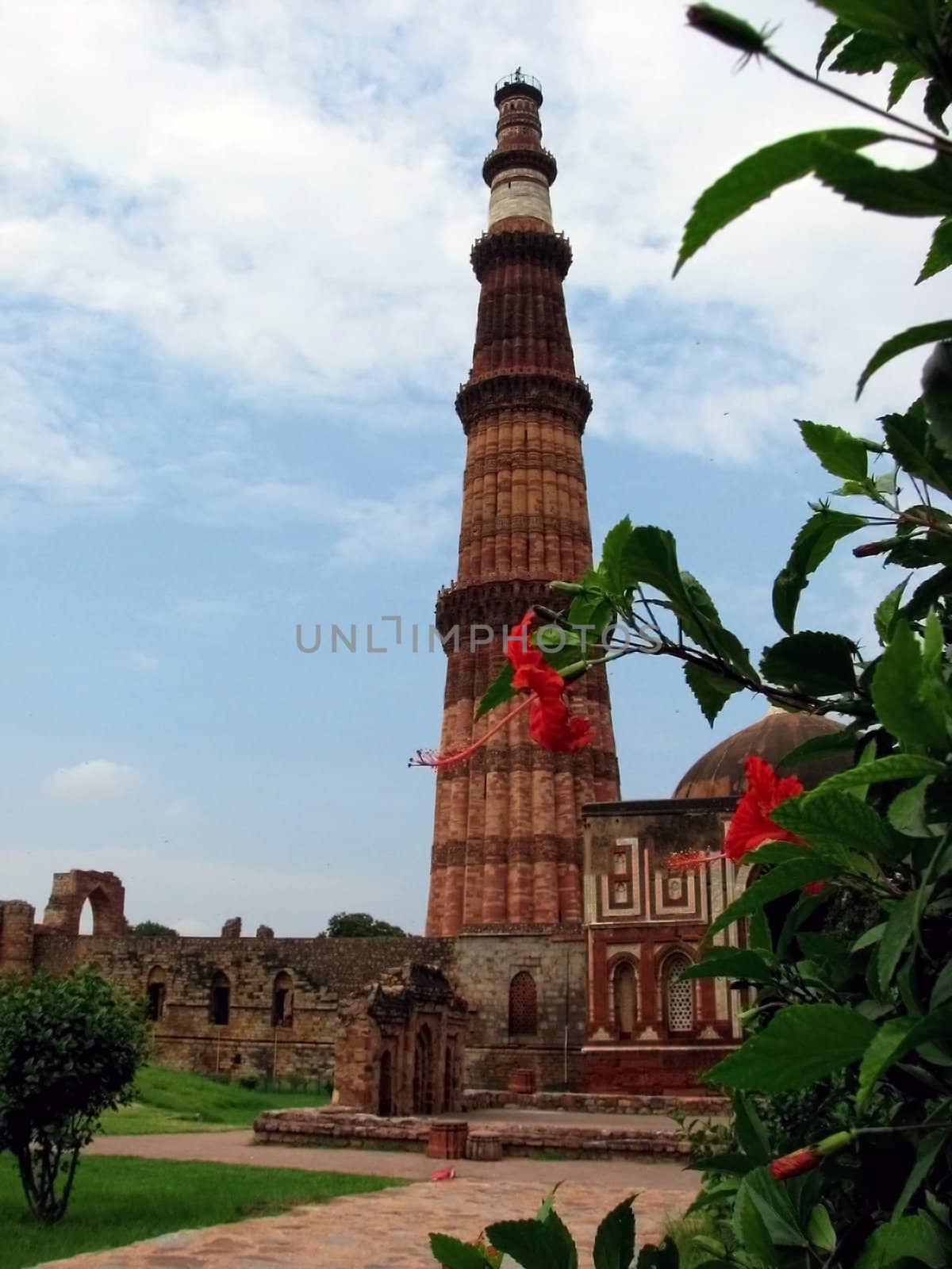 Qutab Minar Tower and Flower by bellafotosolo