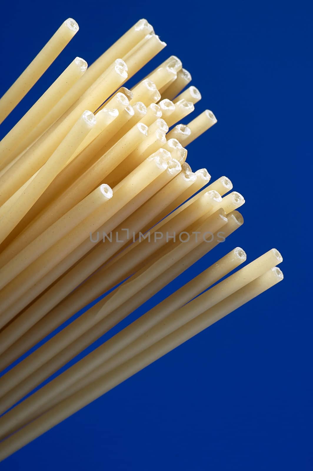 Long macaroni on a dark blue background