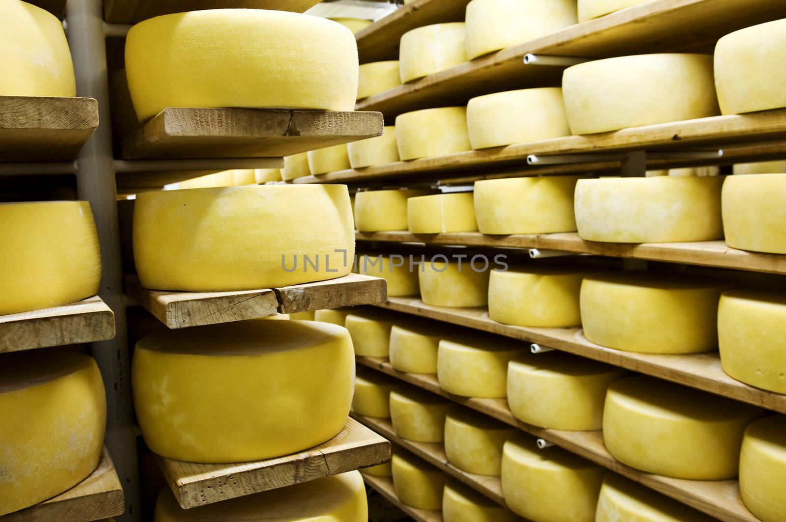 Cheese in shelf by mrfotos