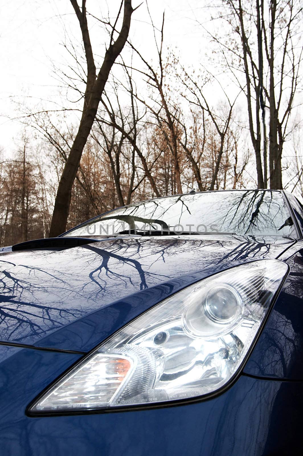 The dark blue sports machine on a background of a wood