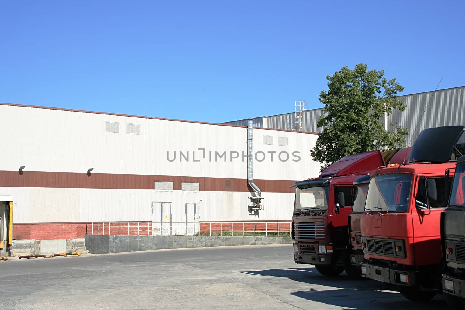 red lorries on a background of a white warehouse