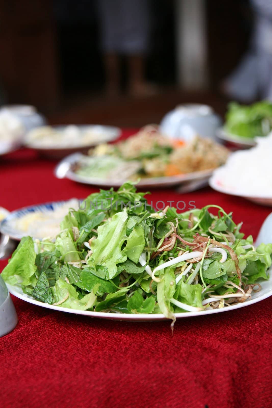 Freshly made salad served on a plate with green leaves and beansprouts