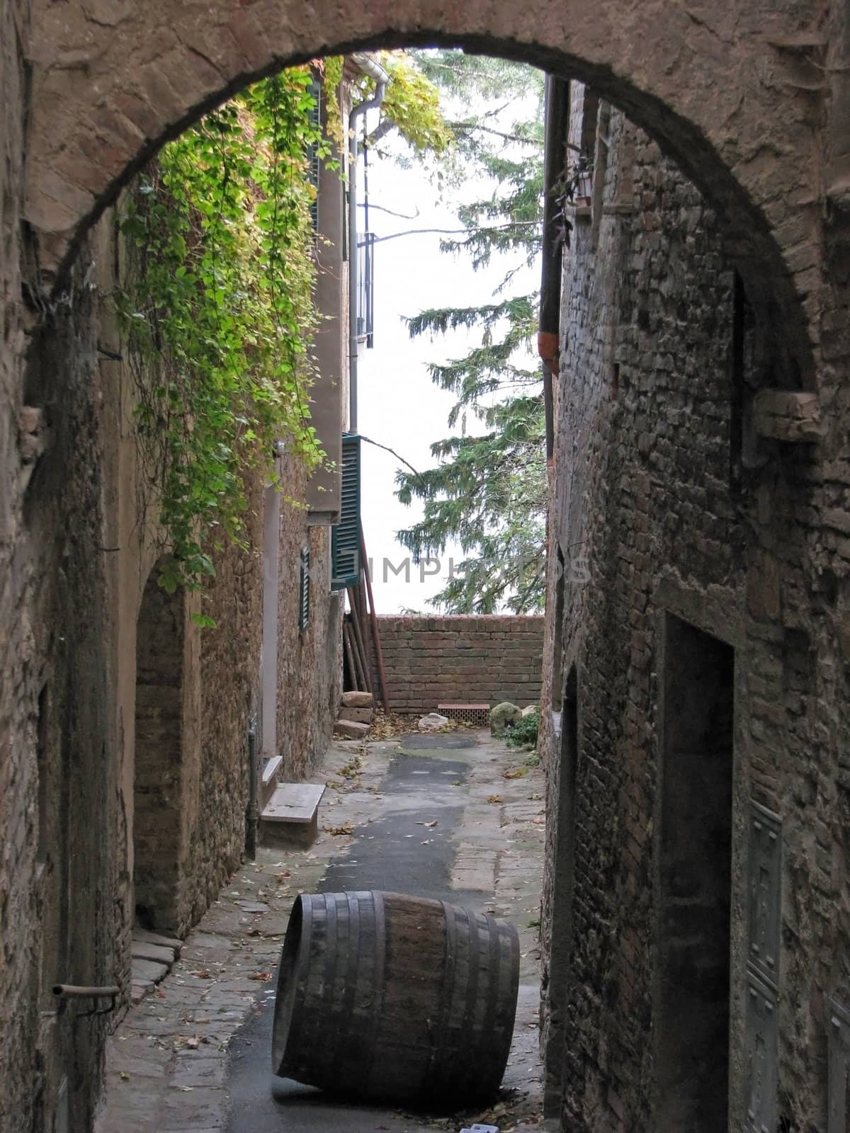Alone wine barrel in an alley in Tuscany.