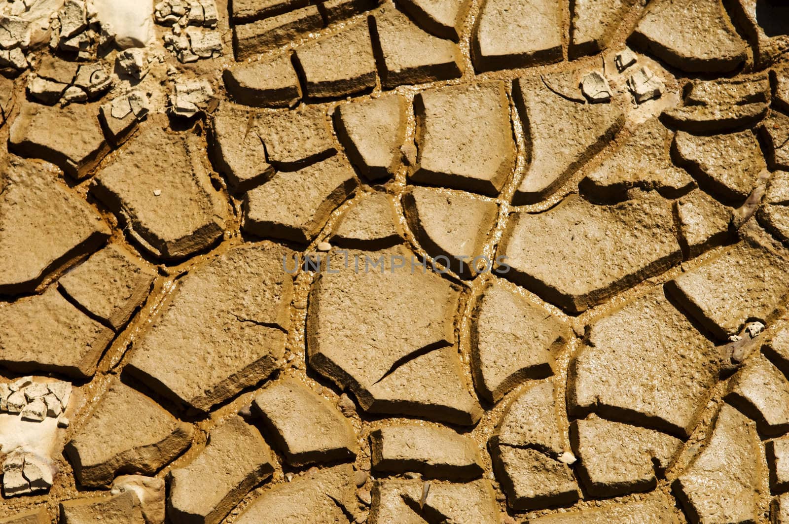Dried soil cracking under the scorching sun