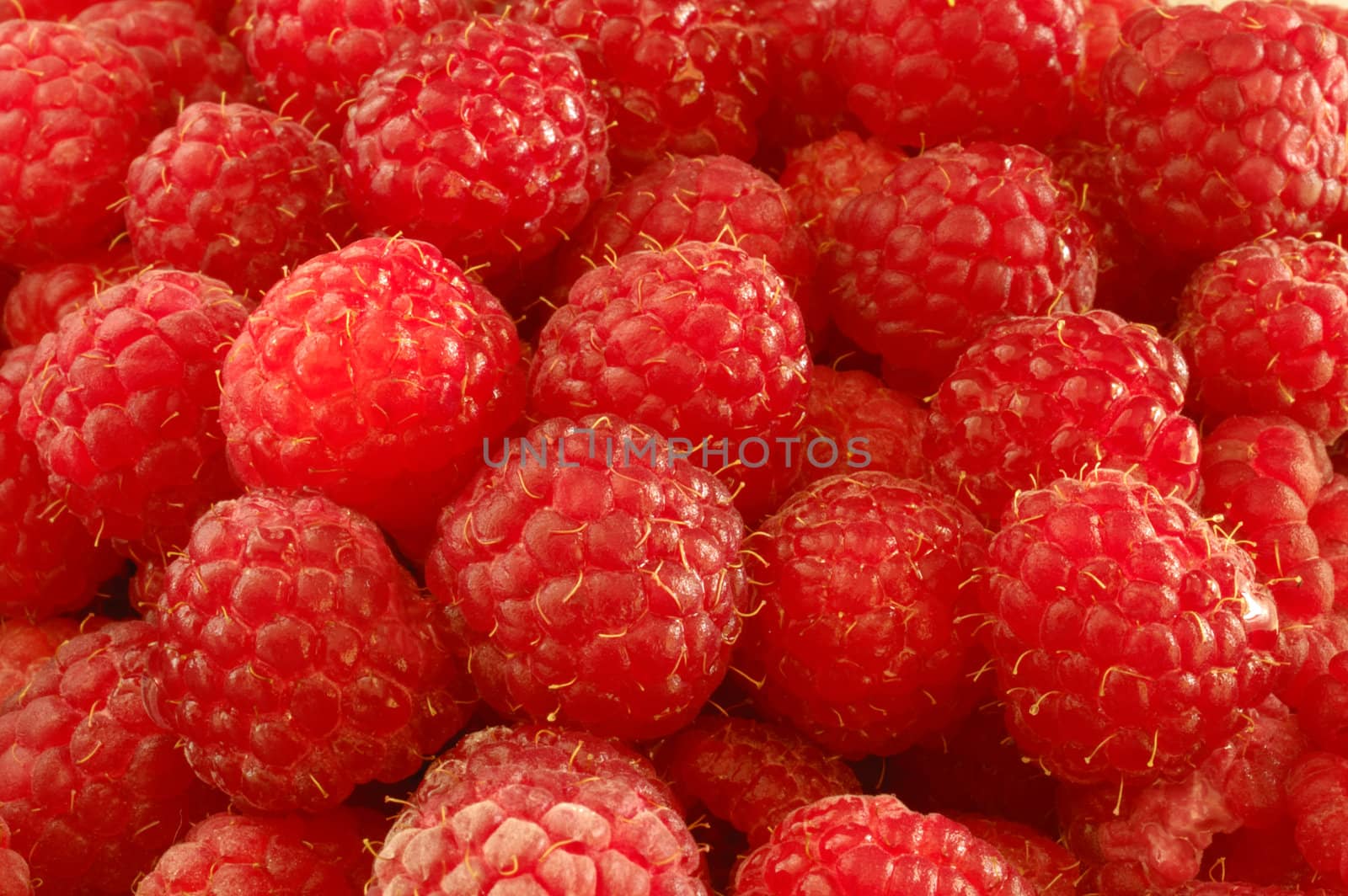 Ripe raspberries by Bateleur