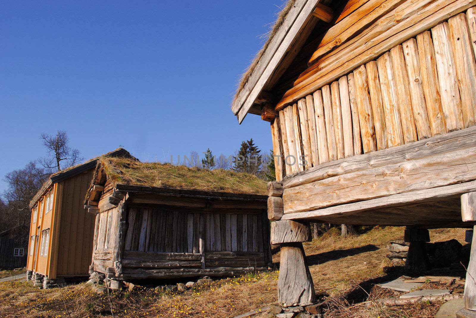 Typical scandinavian granaries.